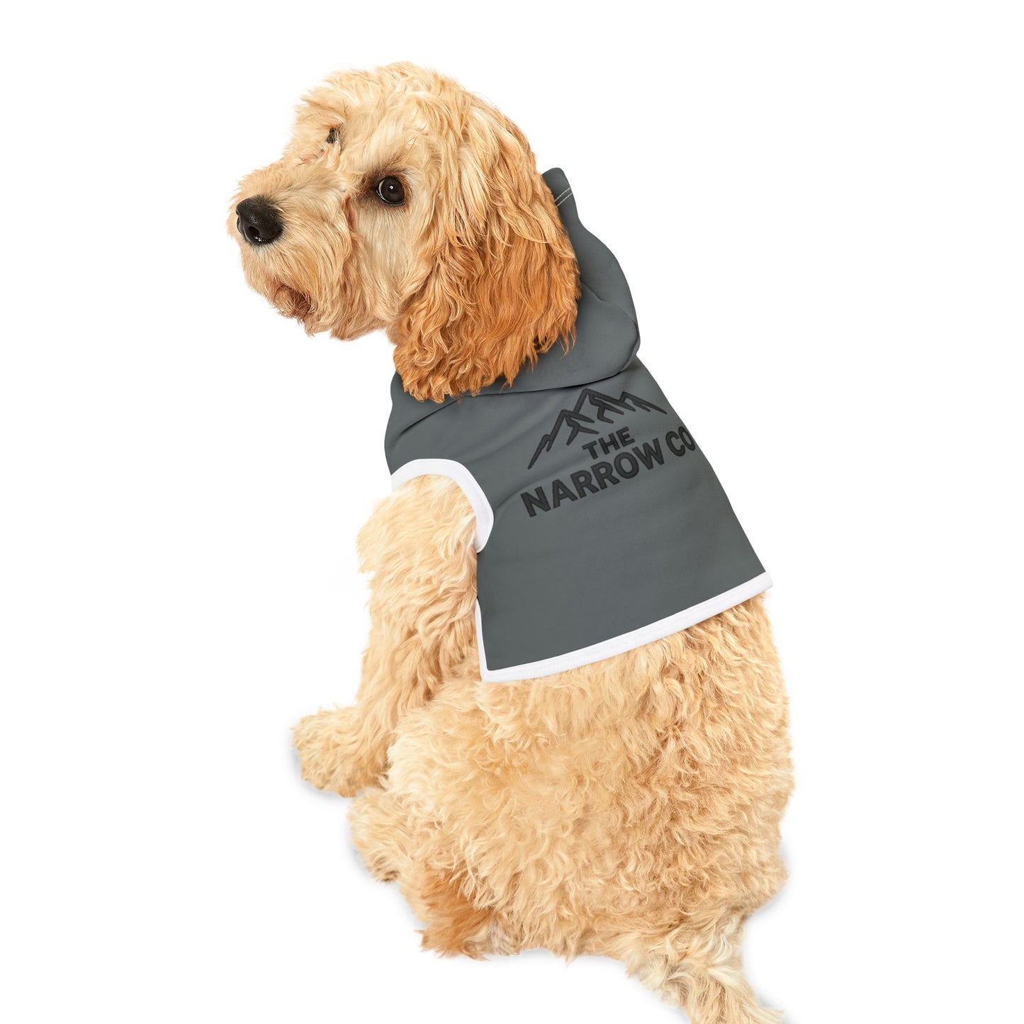 Adventure-Ready Pet Hoodie - Cozy and Stylish for Outdoor Fun
