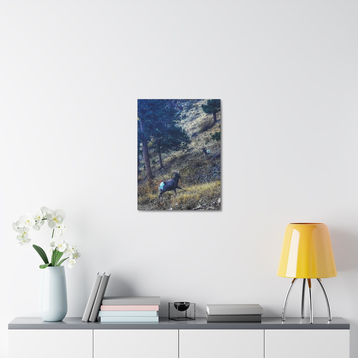 Colorado Nature-Inspired Stretched Canvas Art featuring Majestic Rams by Andrea Stevens