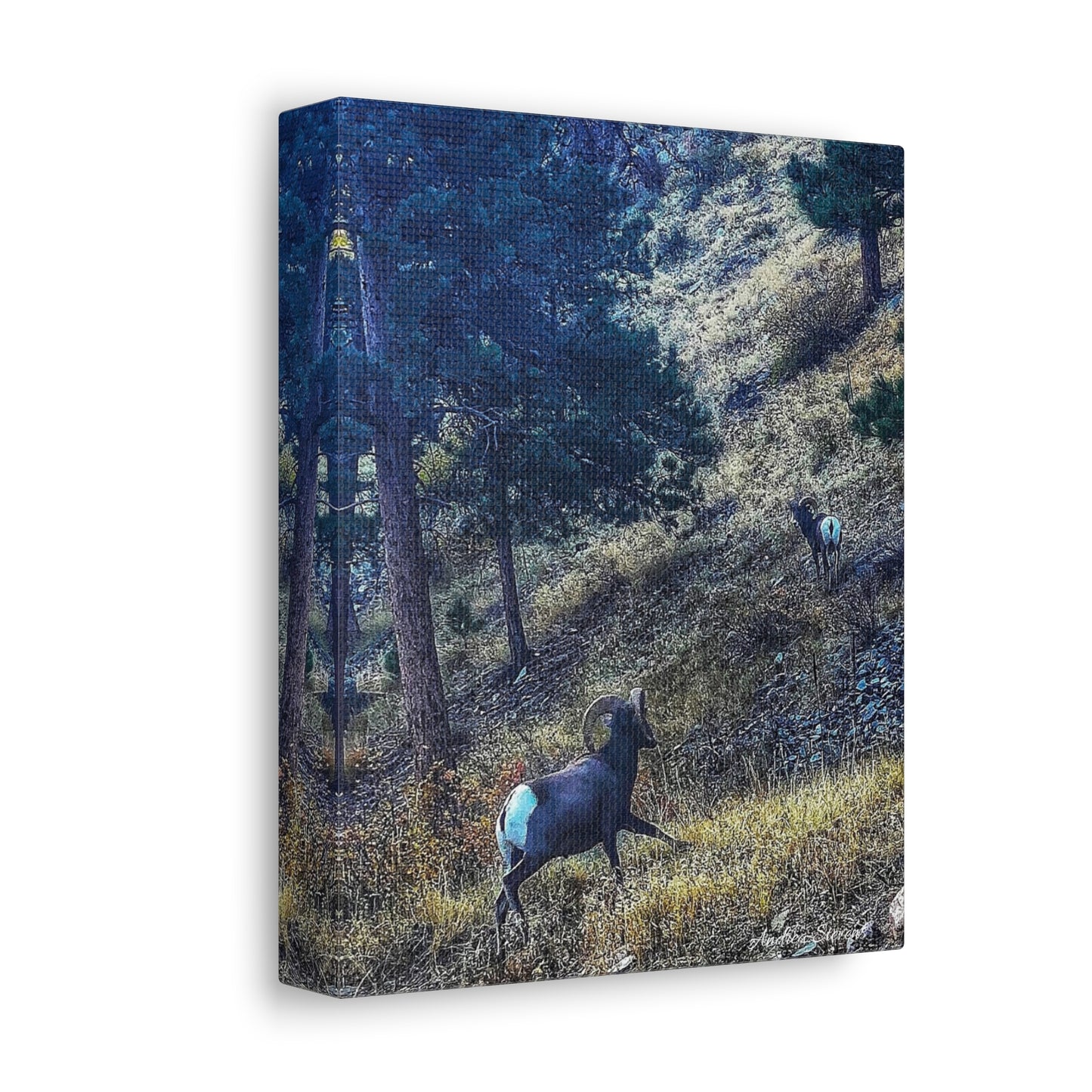 Colorado Nature-Inspired Stretched Canvas Art featuring Majestic Rams by Andrea Stevens