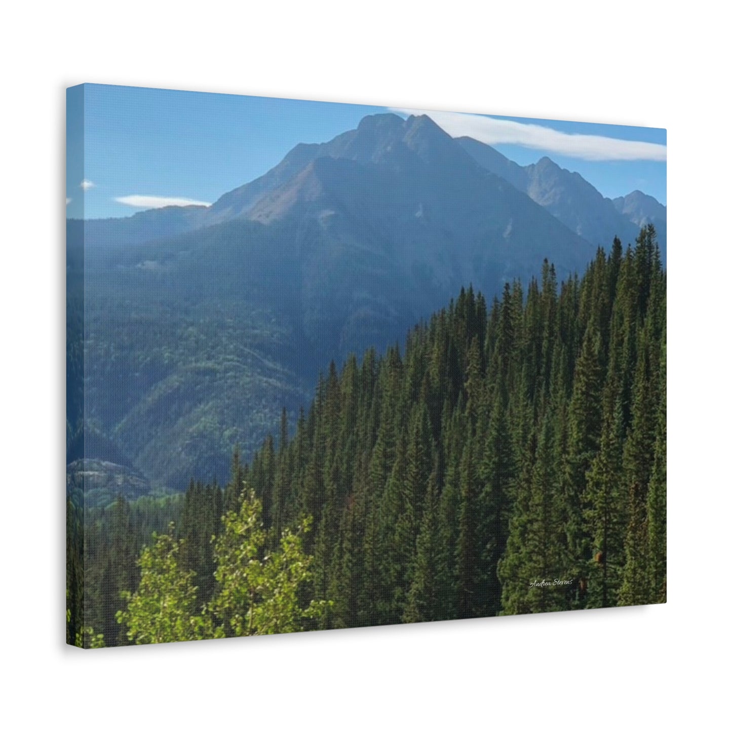 Colorado Nature Landscape Stretched Canvas - Majestic Mountain & Forest Art by Andrea Stevens