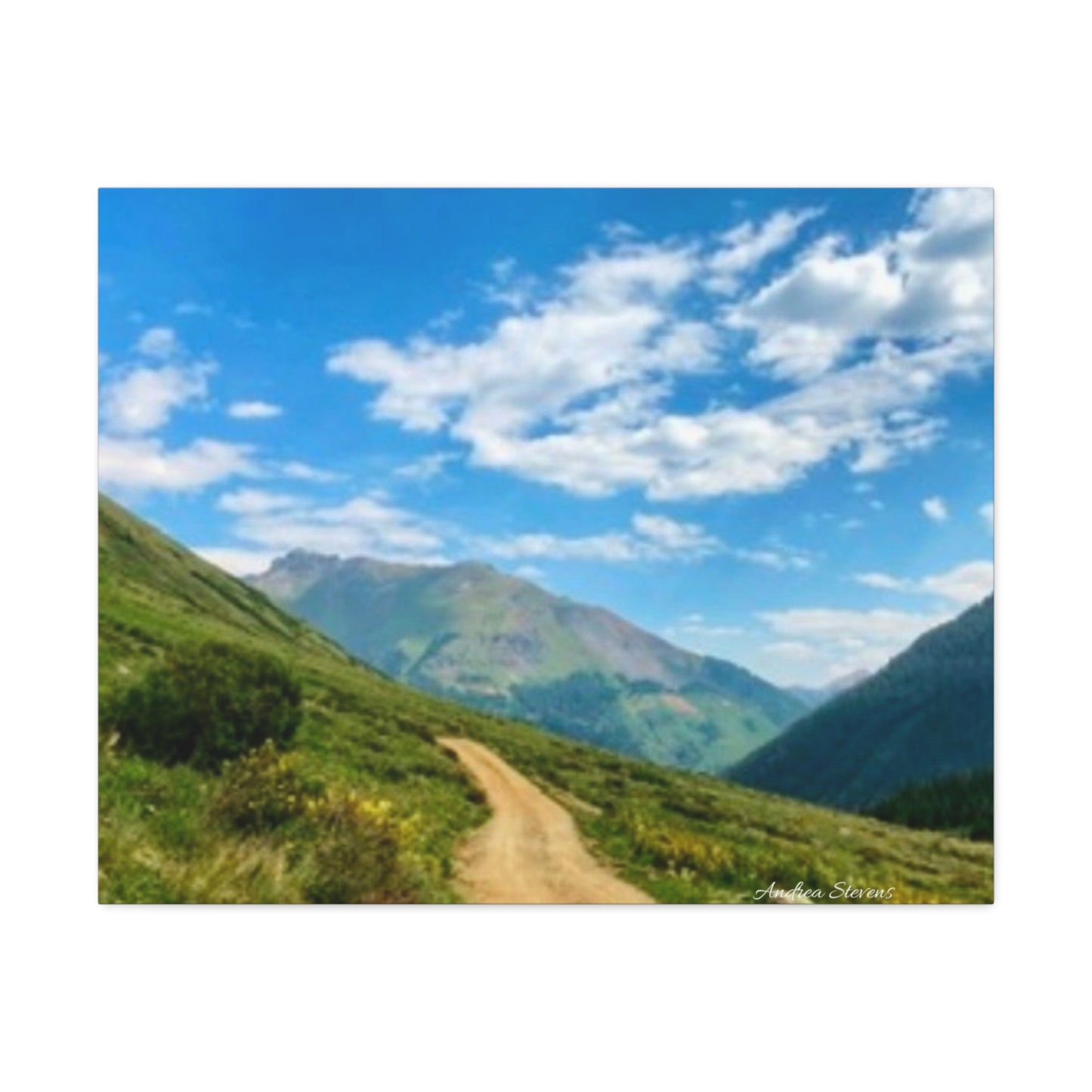 Colorado Scenic Inspirational Stretched Canvas - Mountain Off Roading Path Artwork by Andrea Stevens