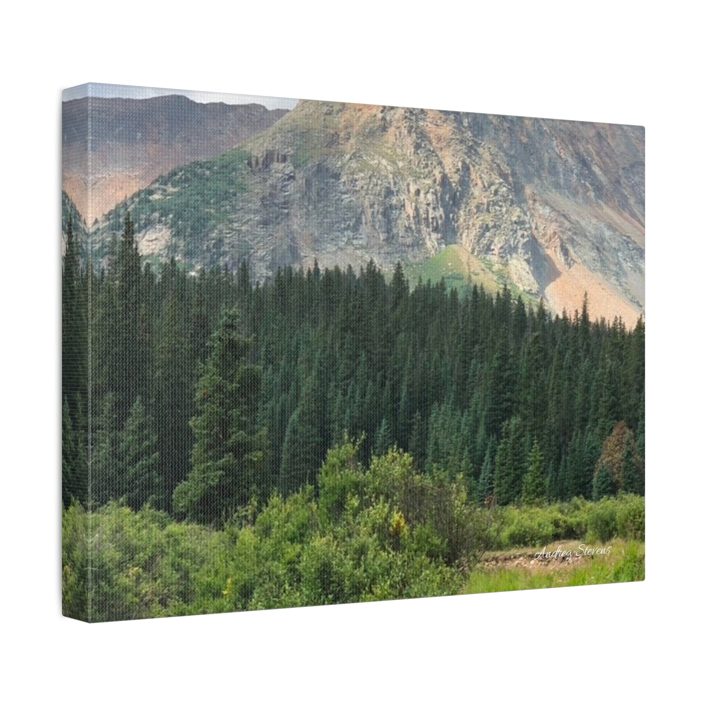 Colorado Nature Landscape Stretched Canvas Wall Art – Rustic Home Decor by Andrea Stevens