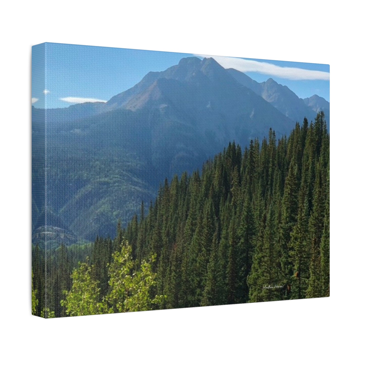 Colorado Nature Landscape Stretched Canvas - Majestic Mountain & Forest Art by Andrea Stevens