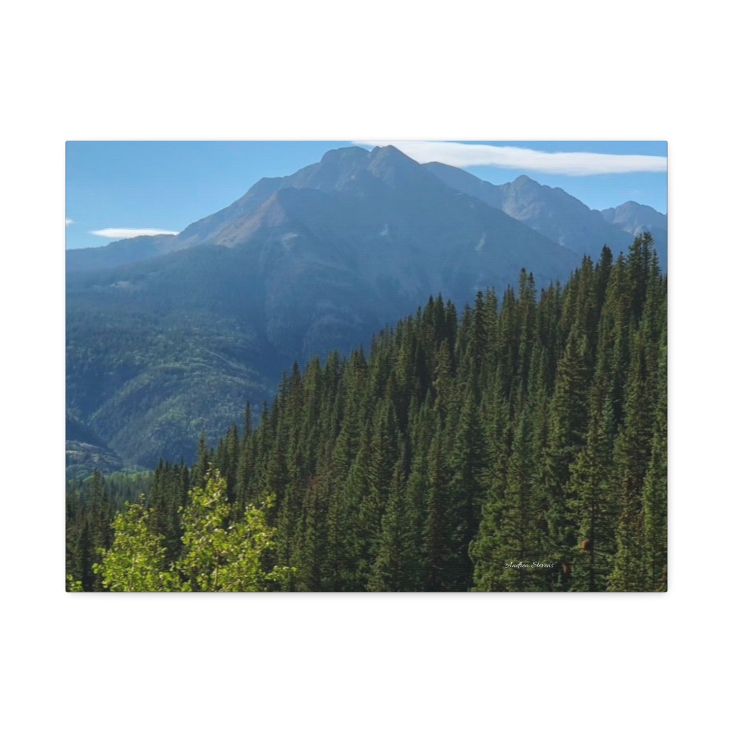 Colorado Nature Landscape Stretched Canvas - Majestic Mountain & Forest Art by Andrea Stevens