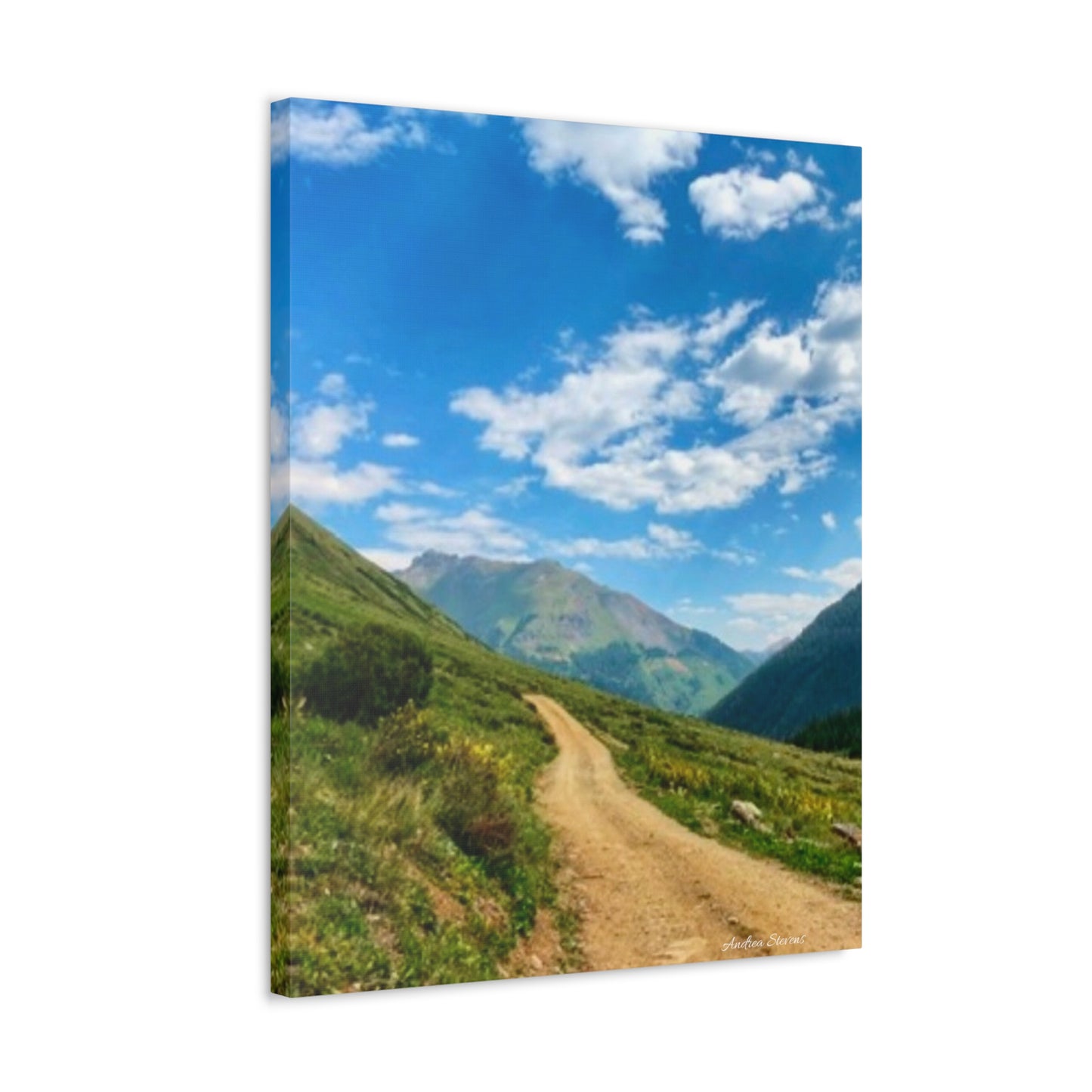 Colorado Scenic Inspirational Stretched Canvas - Mountain Off Roading Path Artwork by Andrea Stevens