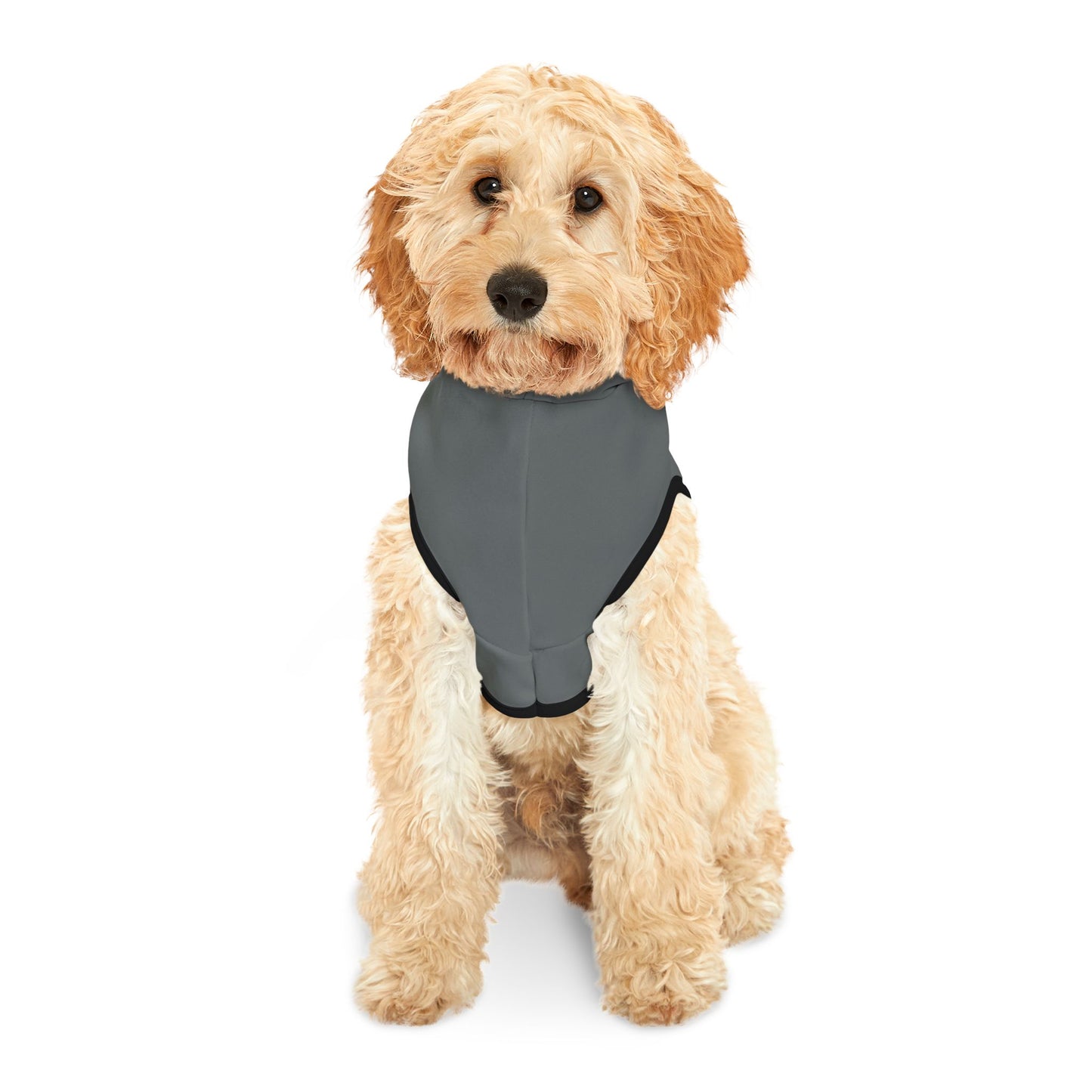 Adventure-Ready Pet Hoodie - Cozy and Stylish for Outdoor Fun
