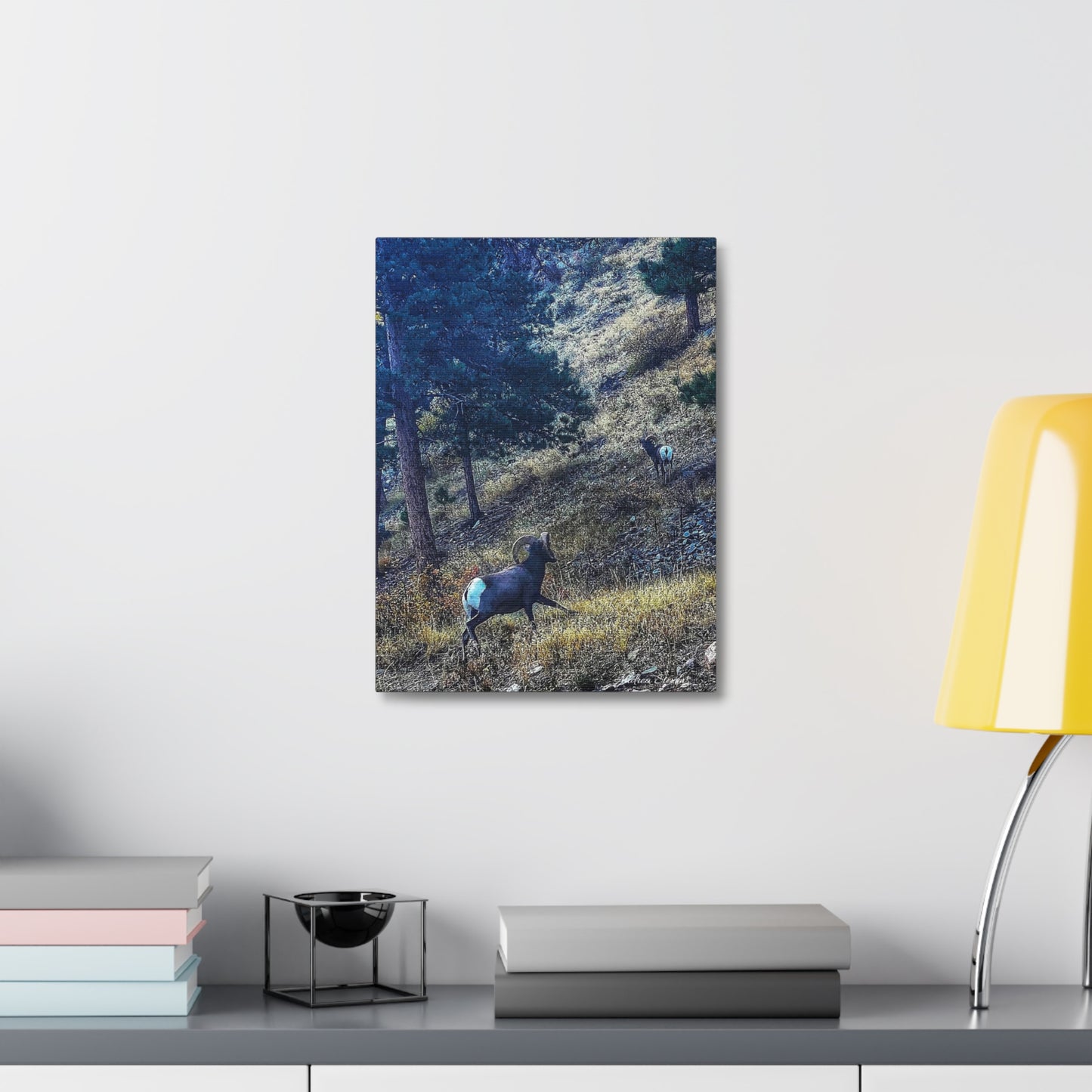 Colorado Nature-Inspired Stretched Canvas Art featuring Majestic Rams by Andrea Stevens