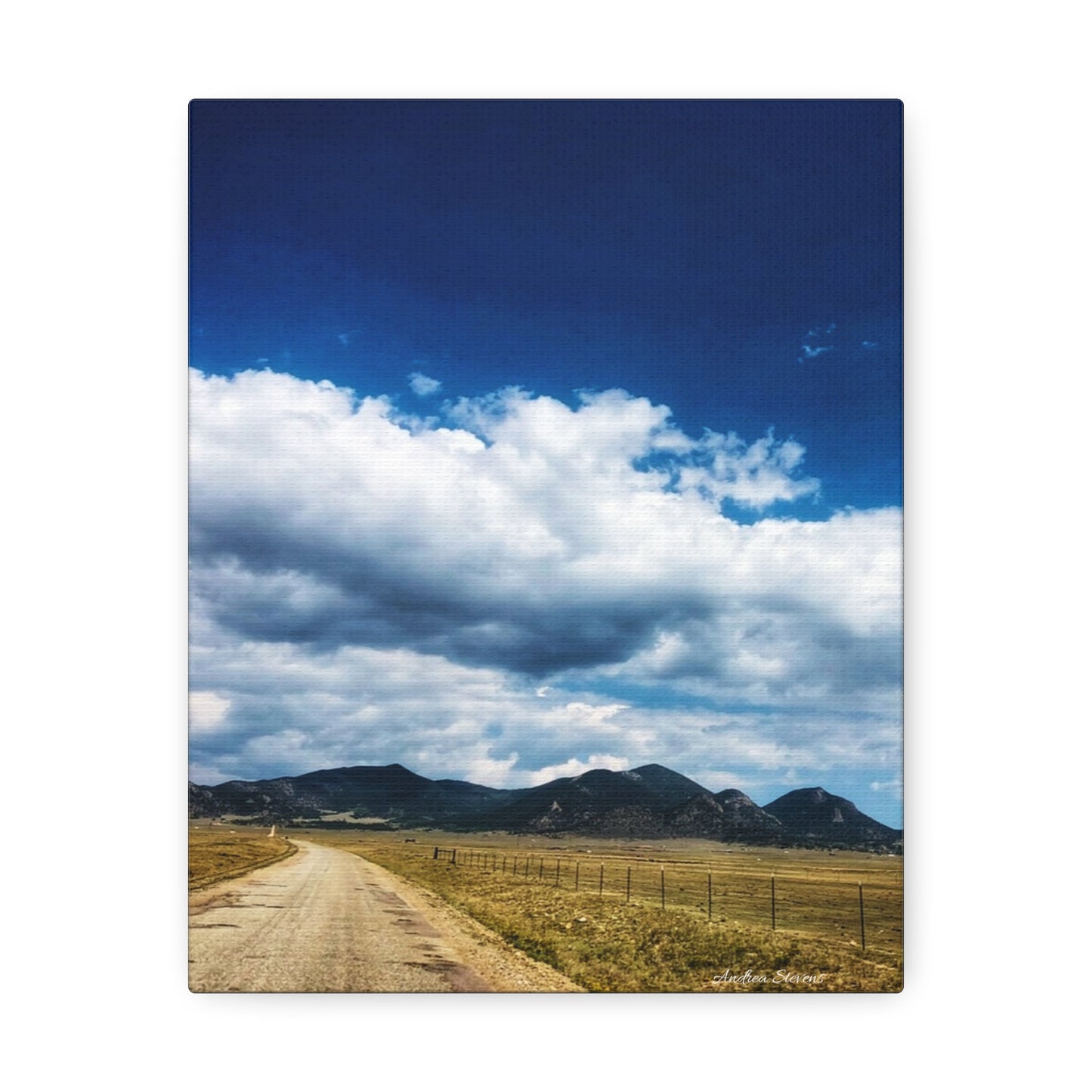 Colorado Serene Mountain Landscape Stretched Canvas Art by Andrea Stevens