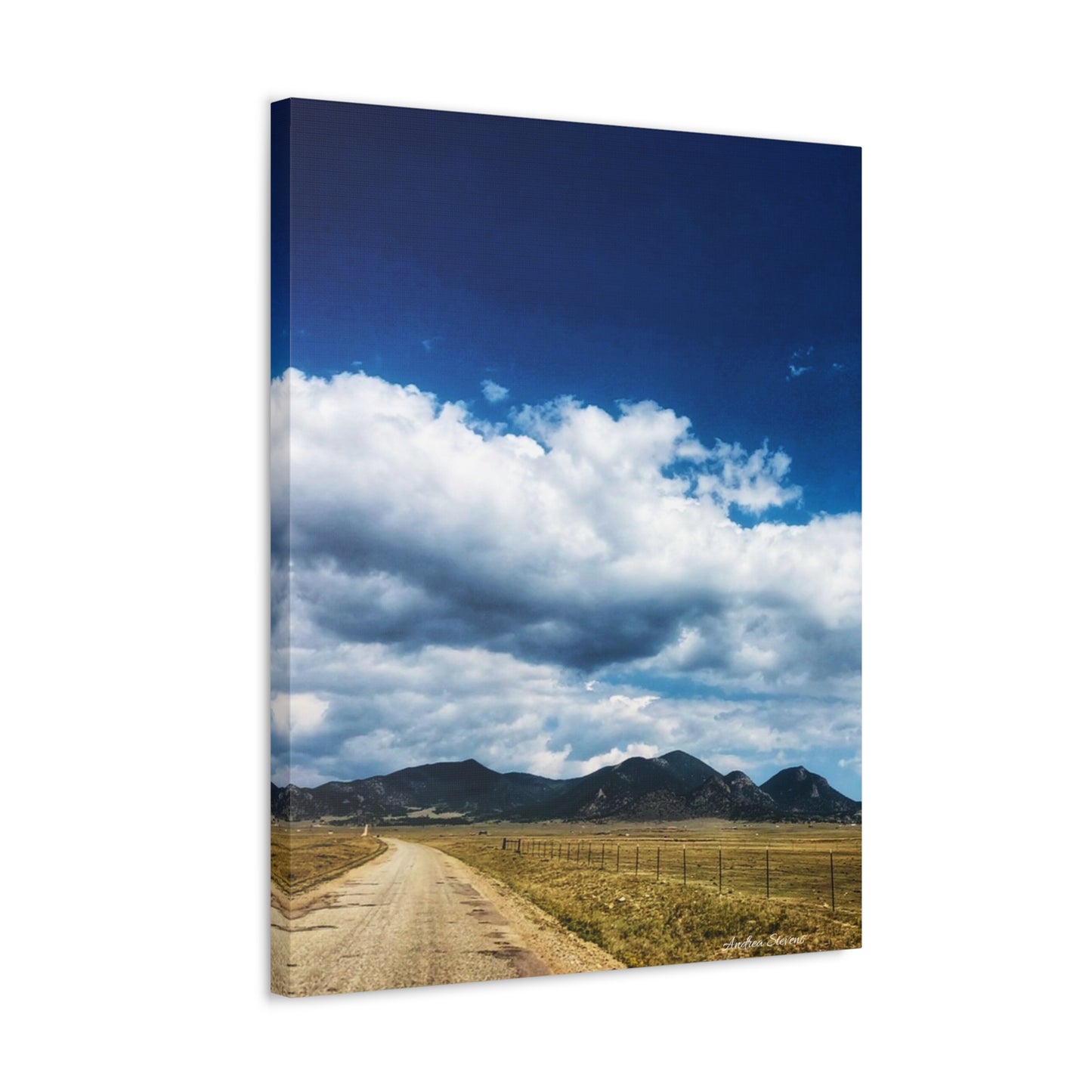 Colorado Serene Mountain Landscape Stretched Canvas Art by Andrea Stevens