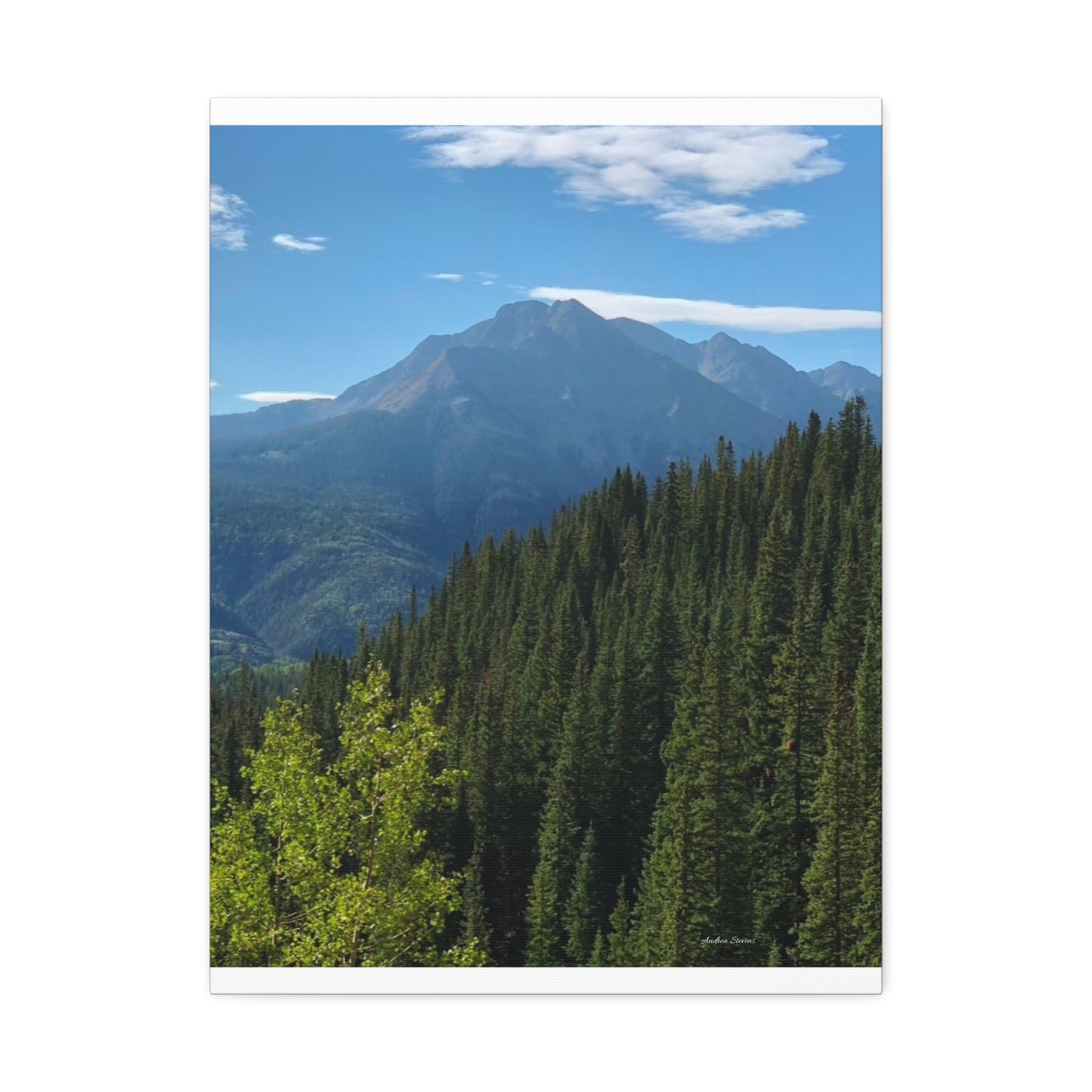 Colorado Nature Landscape Stretched Canvas - Majestic Mountain & Forest Art by Andrea Stevens