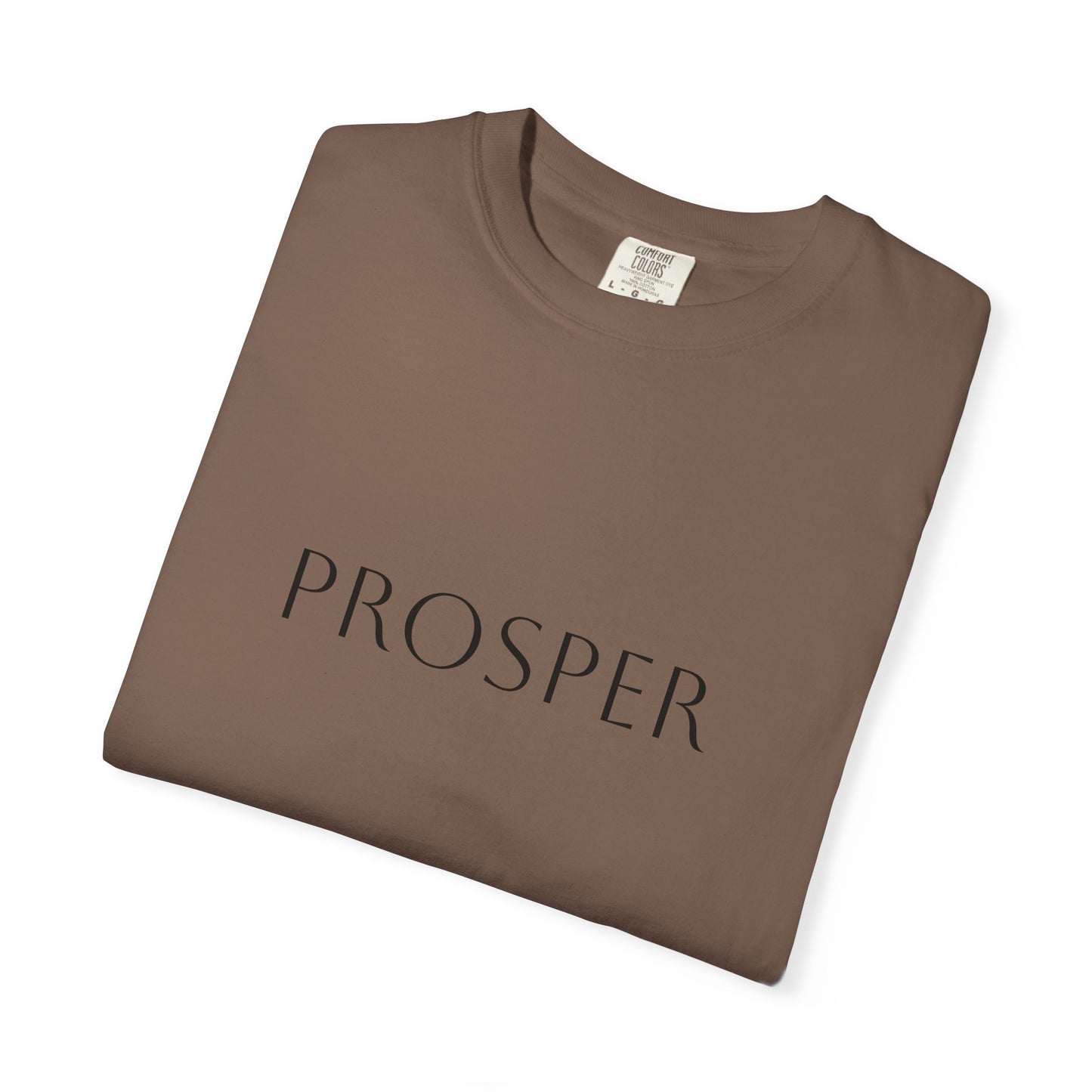 Inspirational Prosper T-Shirt for Hope and Motivation