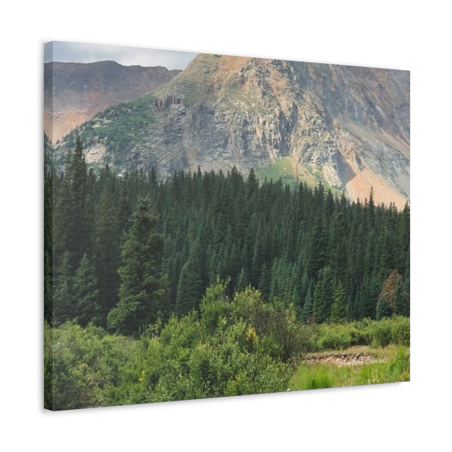 Colorado Nature Landscape Stretched Canvas Wall Art – Rustic Home Decor by Andrea Stevens