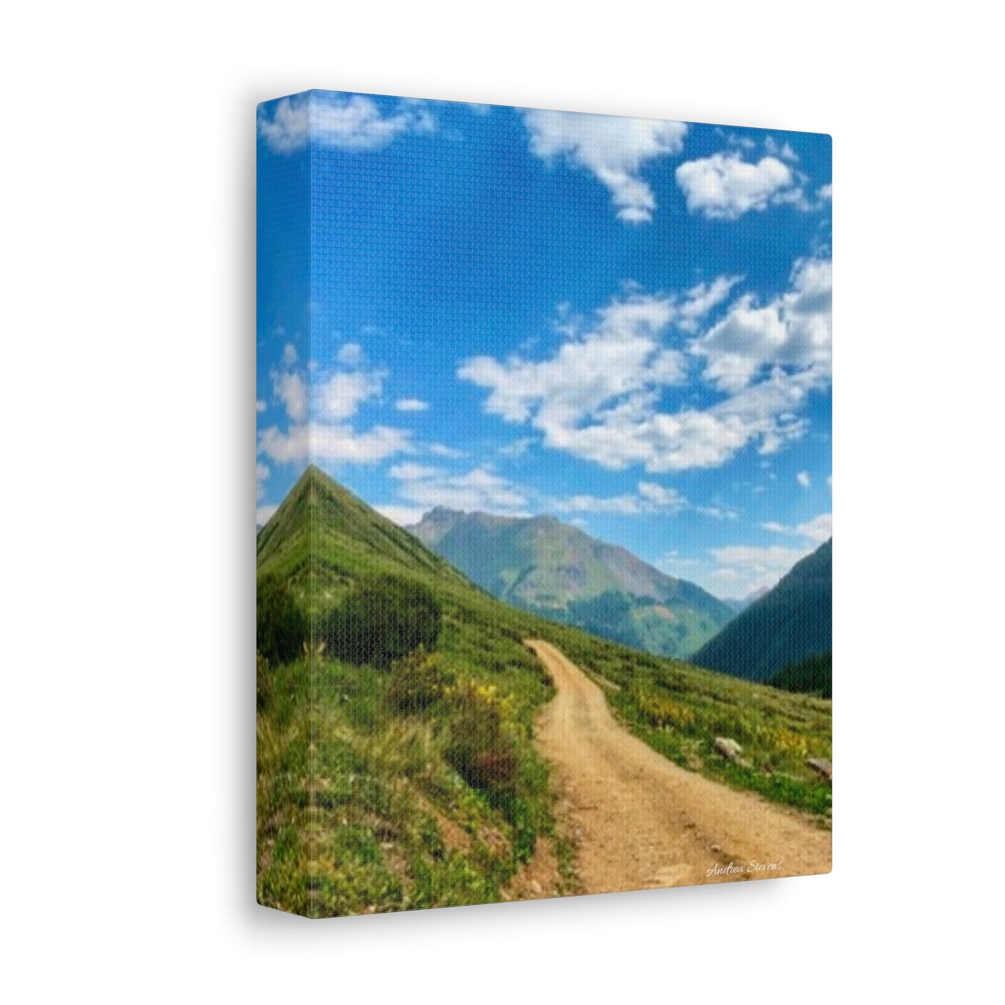 Colorado Scenic Inspirational Stretched Canvas - Mountain Off Roading Path Artwork by Andrea Stevens