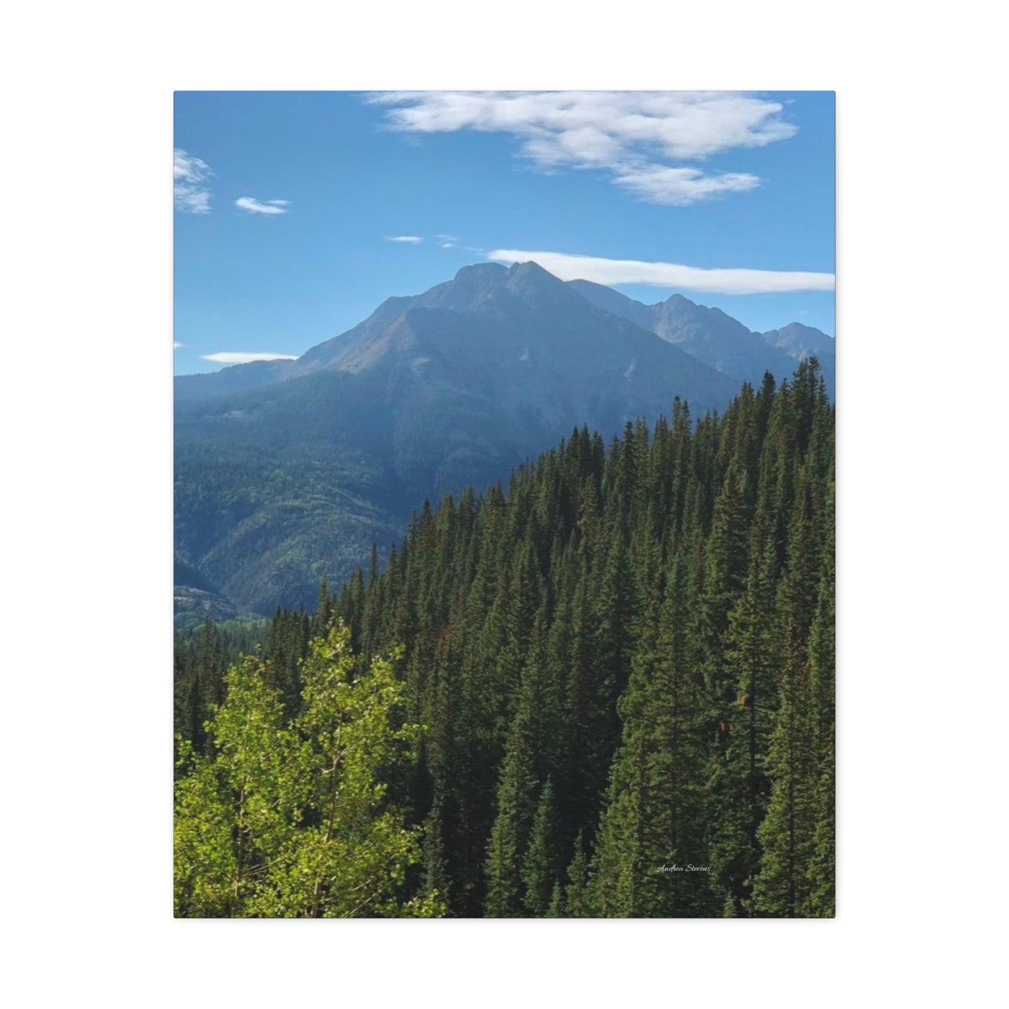 Colorado Nature Landscape Stretched Canvas - Majestic Mountain & Forest Art by Andrea Stevens
