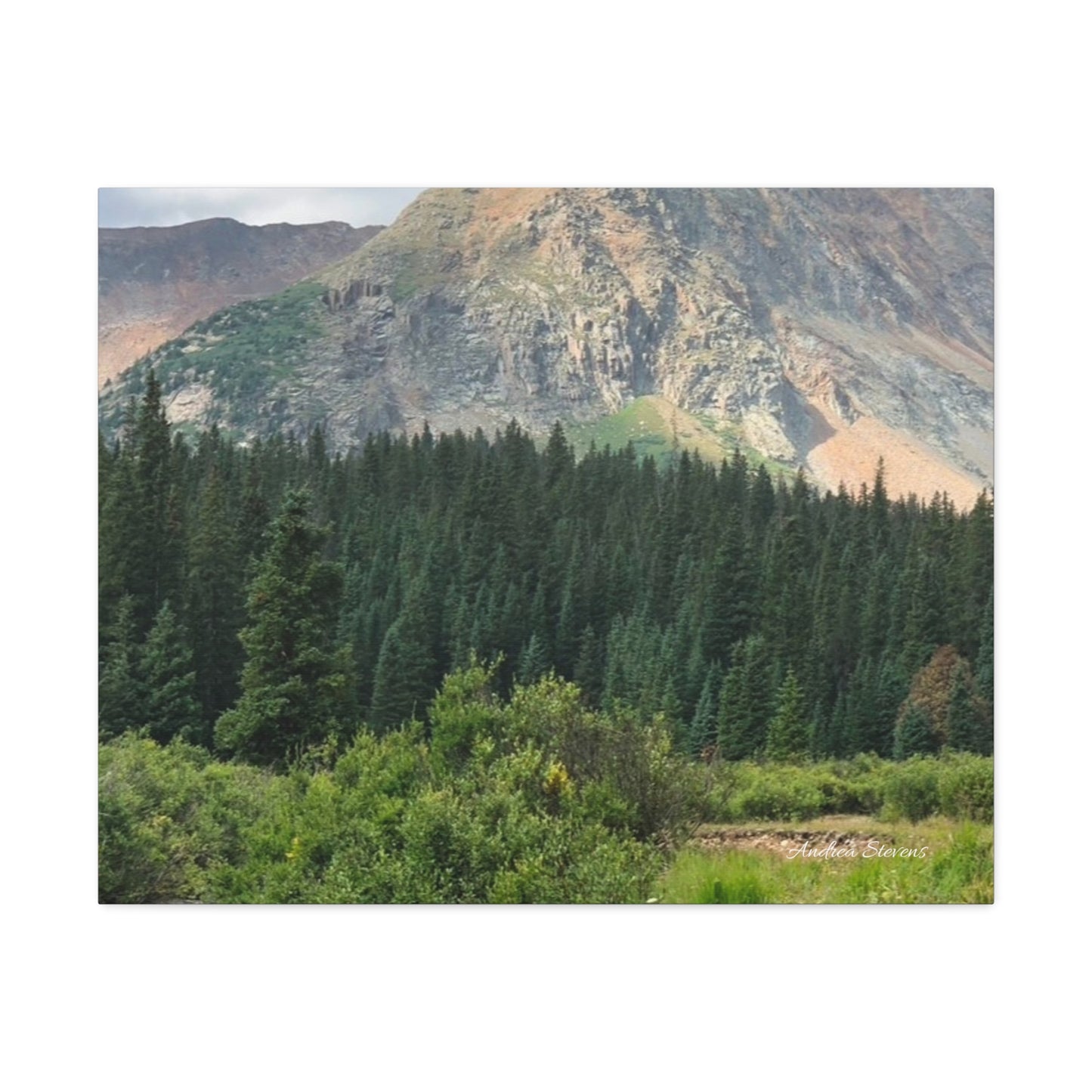 Colorado Nature Landscape Stretched Canvas Wall Art – Rustic Home Decor by Andrea Stevens