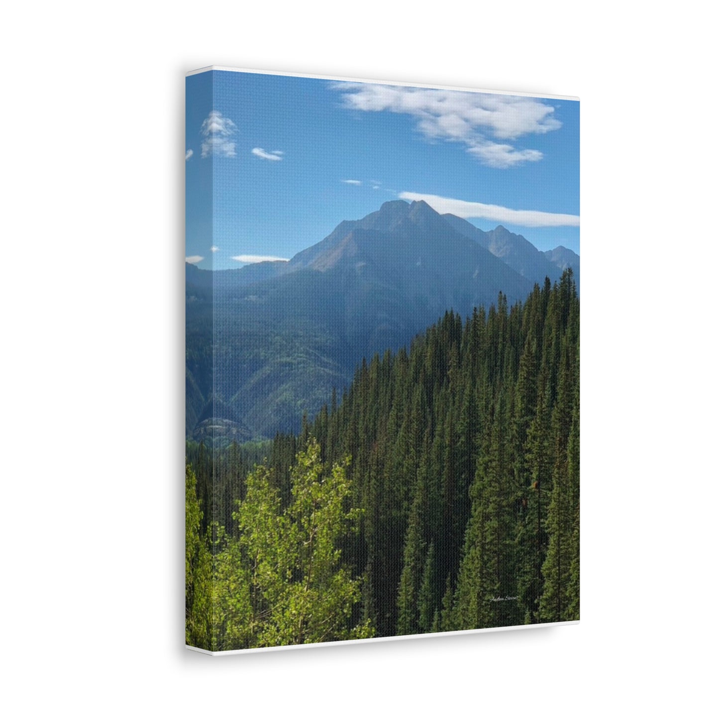 Colorado Nature Landscape Stretched Canvas - Majestic Mountain & Forest Art by Andrea Stevens
