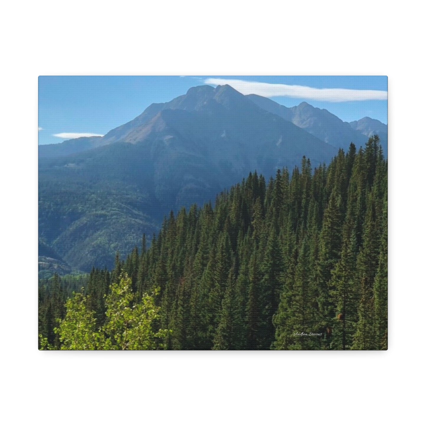 Colorado Nature Landscape Stretched Canvas - Majestic Mountain & Forest Art by Andrea Stevens