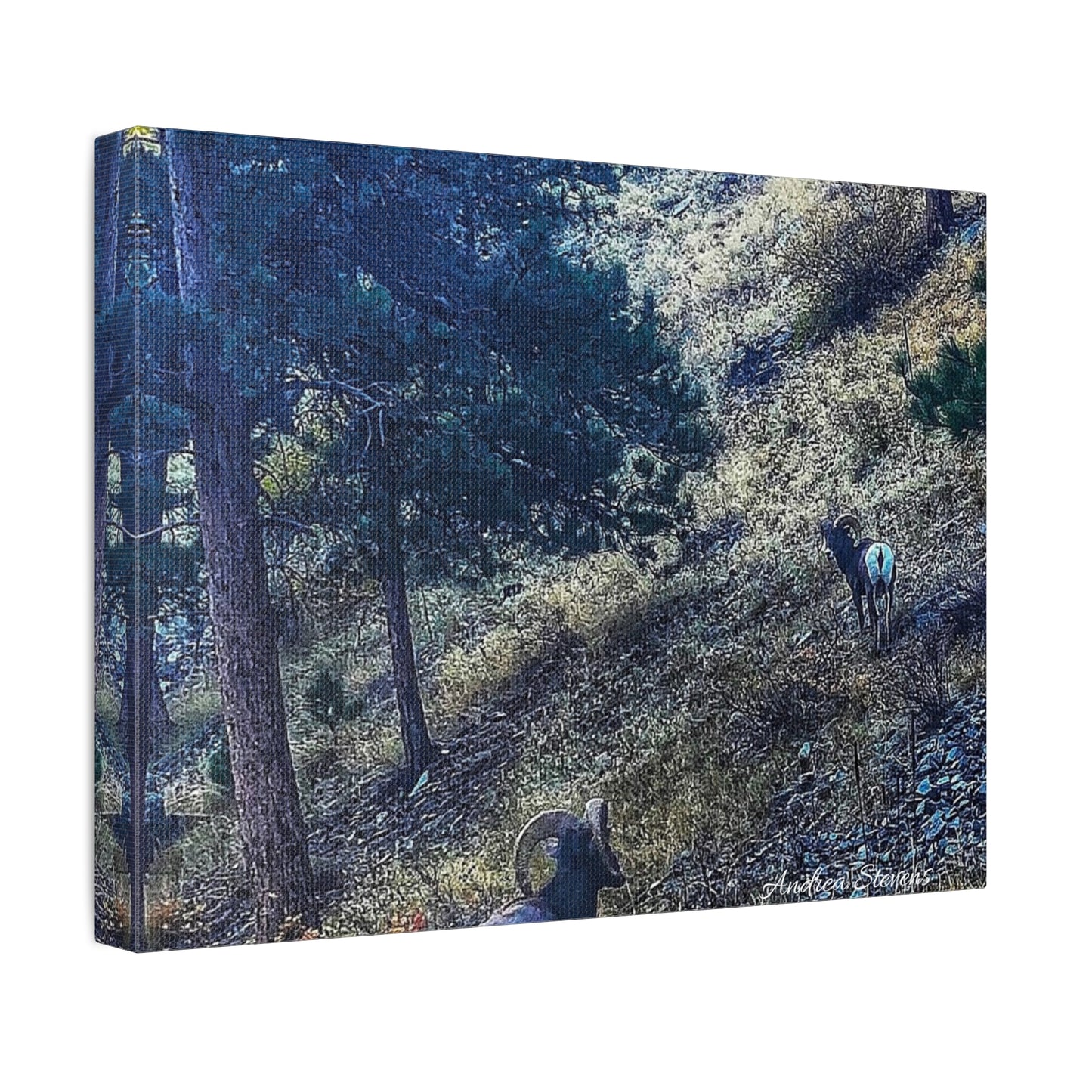 Colorado Nature-Inspired Stretched Canvas Art featuring Majestic Rams by Andrea Stevens
