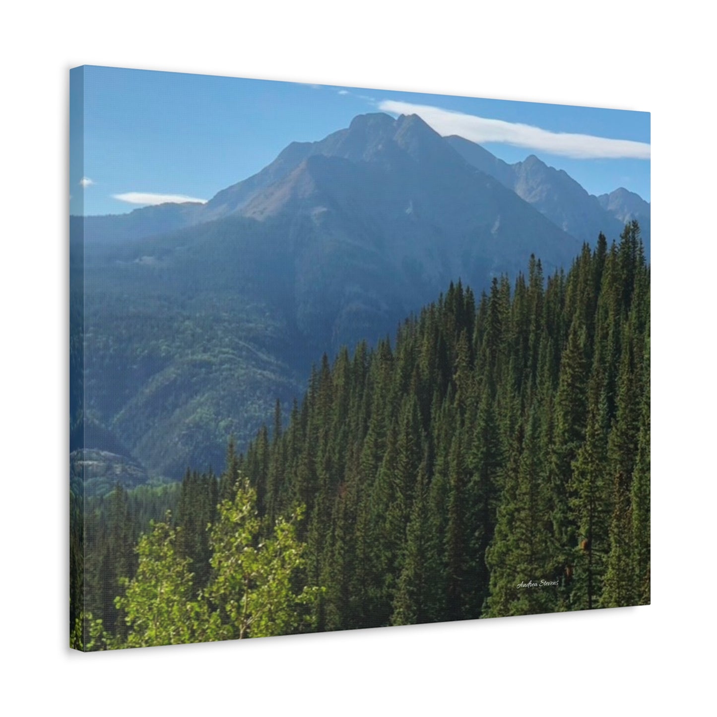 Colorado Nature Landscape Stretched Canvas - Majestic Mountain & Forest Art by Andrea Stevens