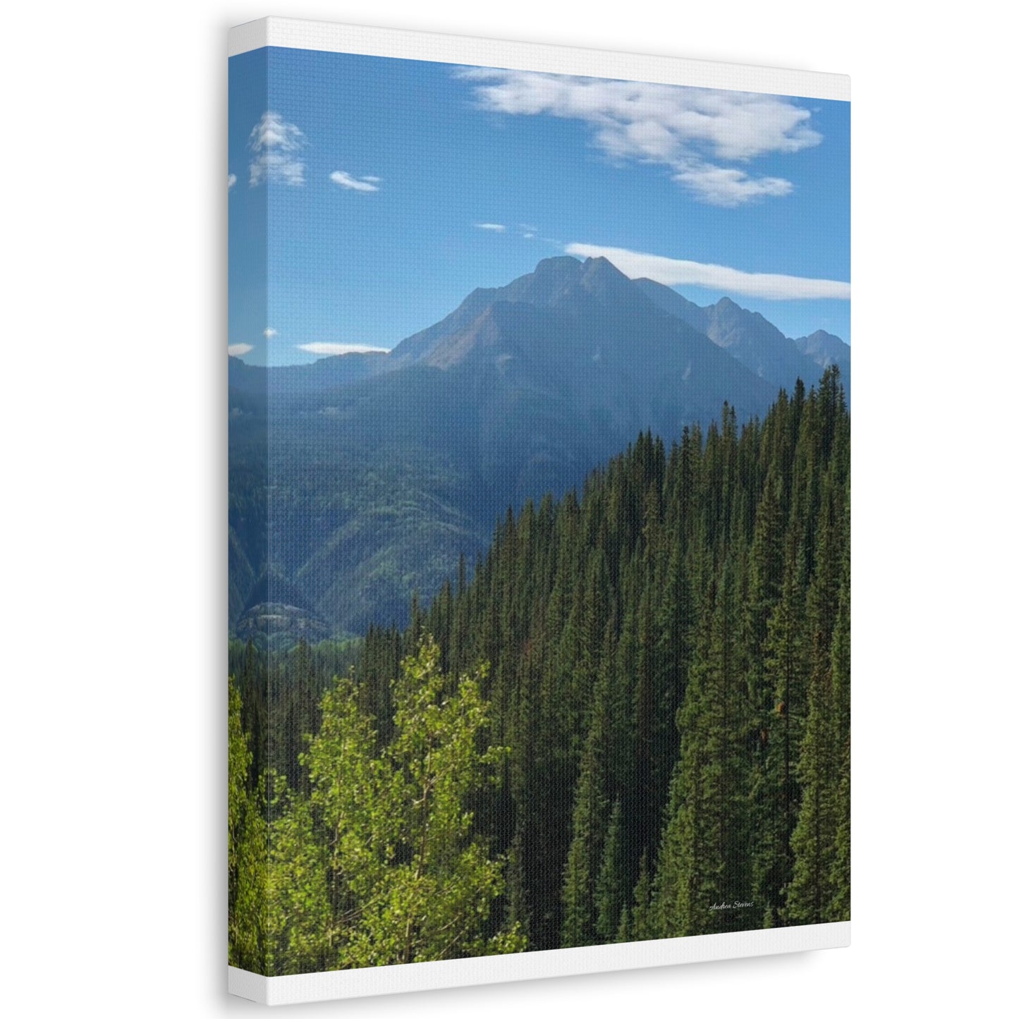 Colorado Nature Landscape Stretched Canvas - Majestic Mountain & Forest Art by Andrea Stevens