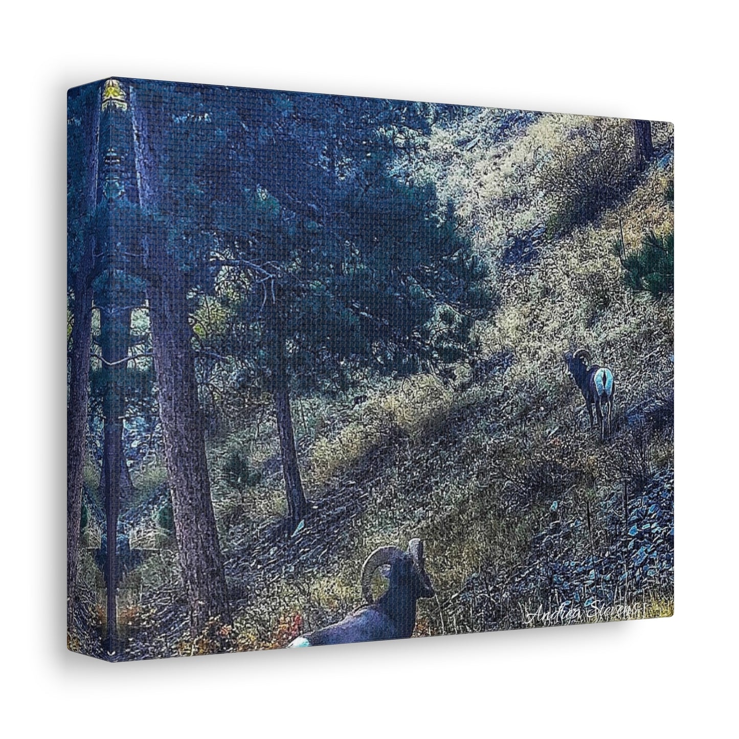 Colorado Nature-Inspired Stretched Canvas Art featuring Majestic Rams by Andrea Stevens