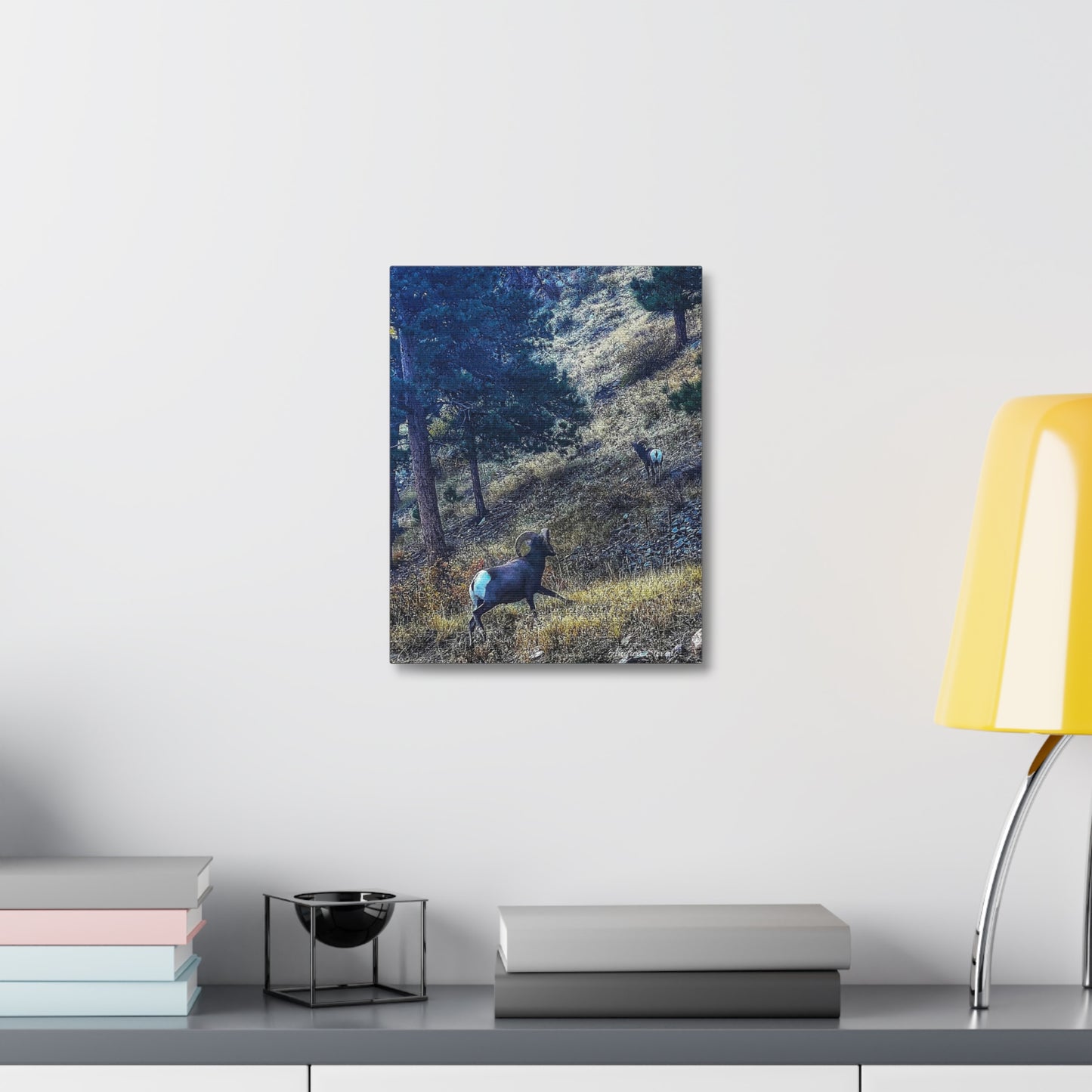 Colorado Nature-Inspired Stretched Canvas Art featuring Majestic Rams by Andrea Stevens