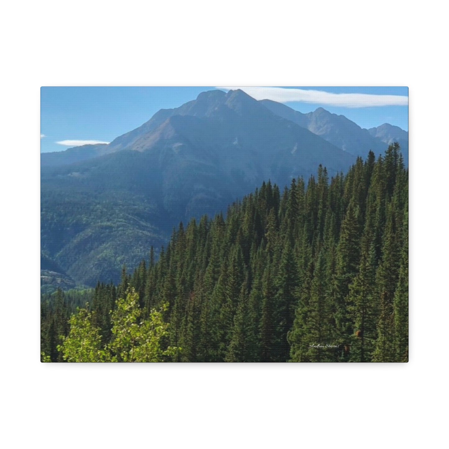 Colorado Nature Landscape Stretched Canvas - Majestic Mountain & Forest Art by Andrea Stevens