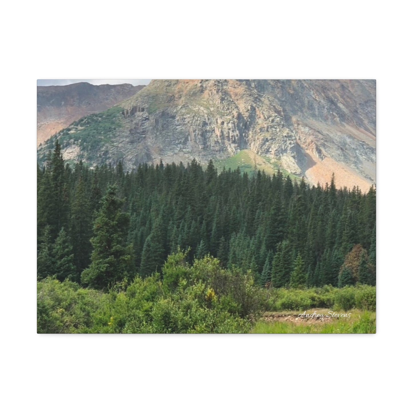 Colorado Nature Landscape Stretched Canvas Wall Art – Rustic Home Decor by Andrea Stevens