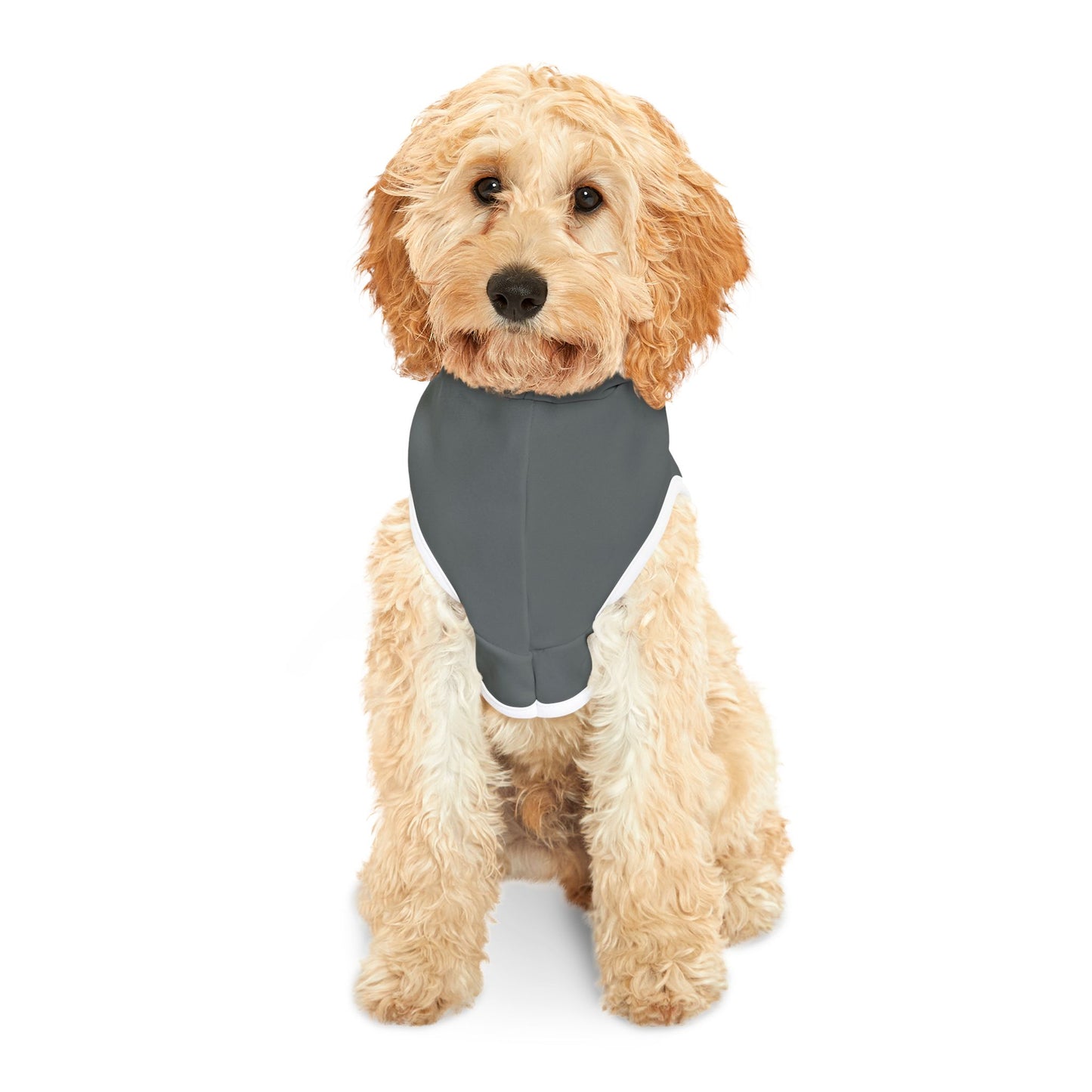 Adventure-Ready Pet Hoodie - Cozy and Stylish for Outdoor Fun