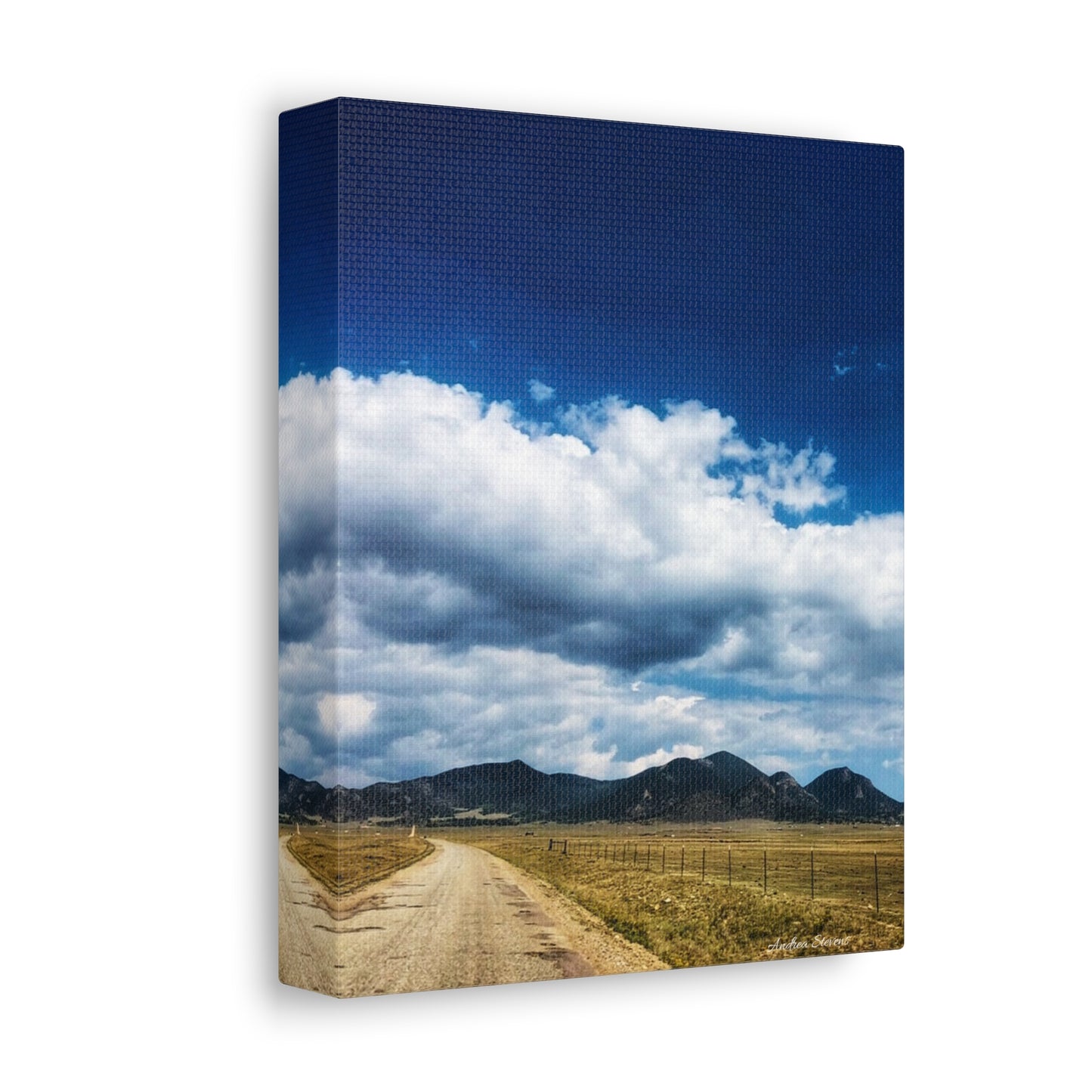 Colorado Serene Mountain Landscape Stretched Canvas Art by Andrea Stevens