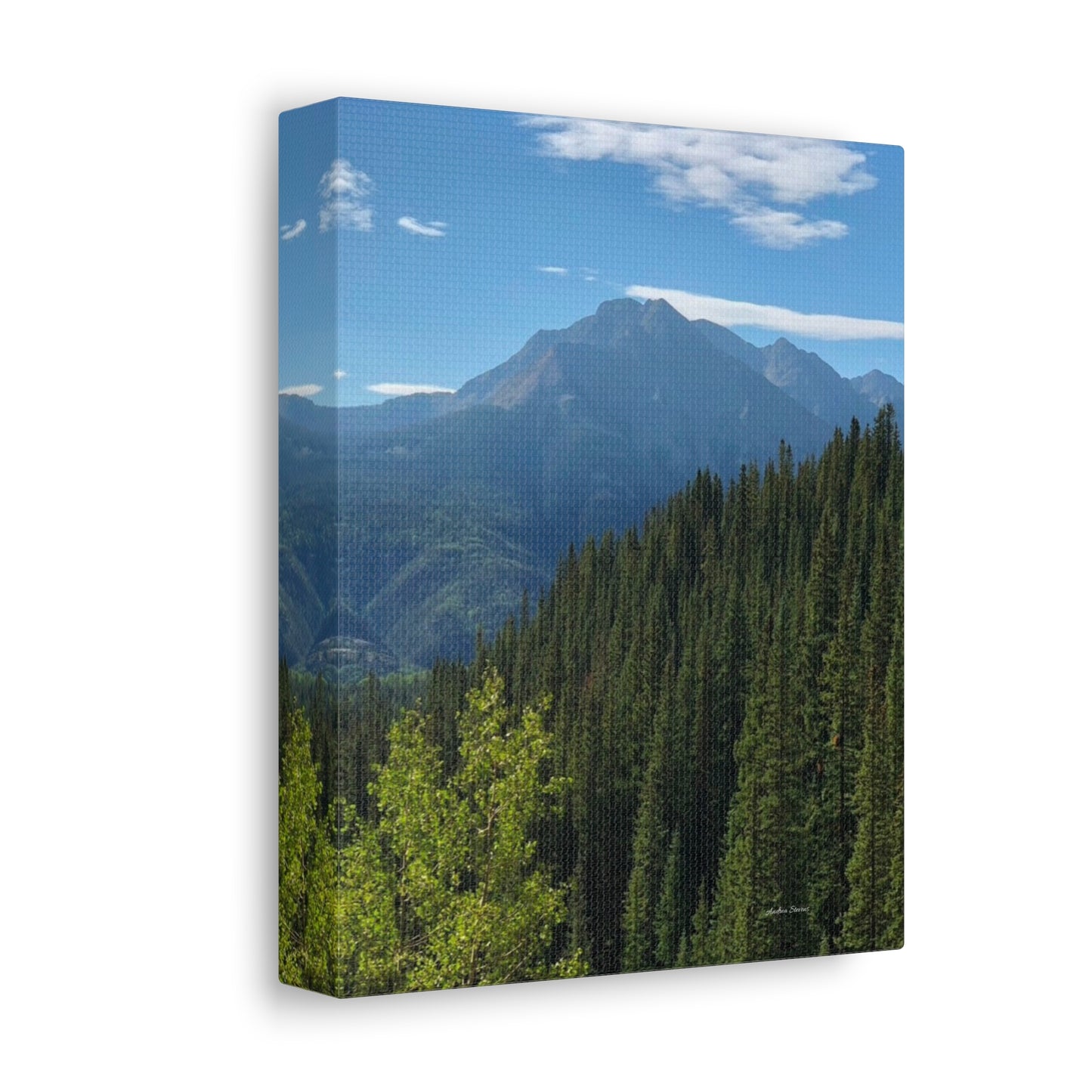 Colorado Nature Landscape Stretched Canvas - Majestic Mountain & Forest Art by Andrea Stevens
