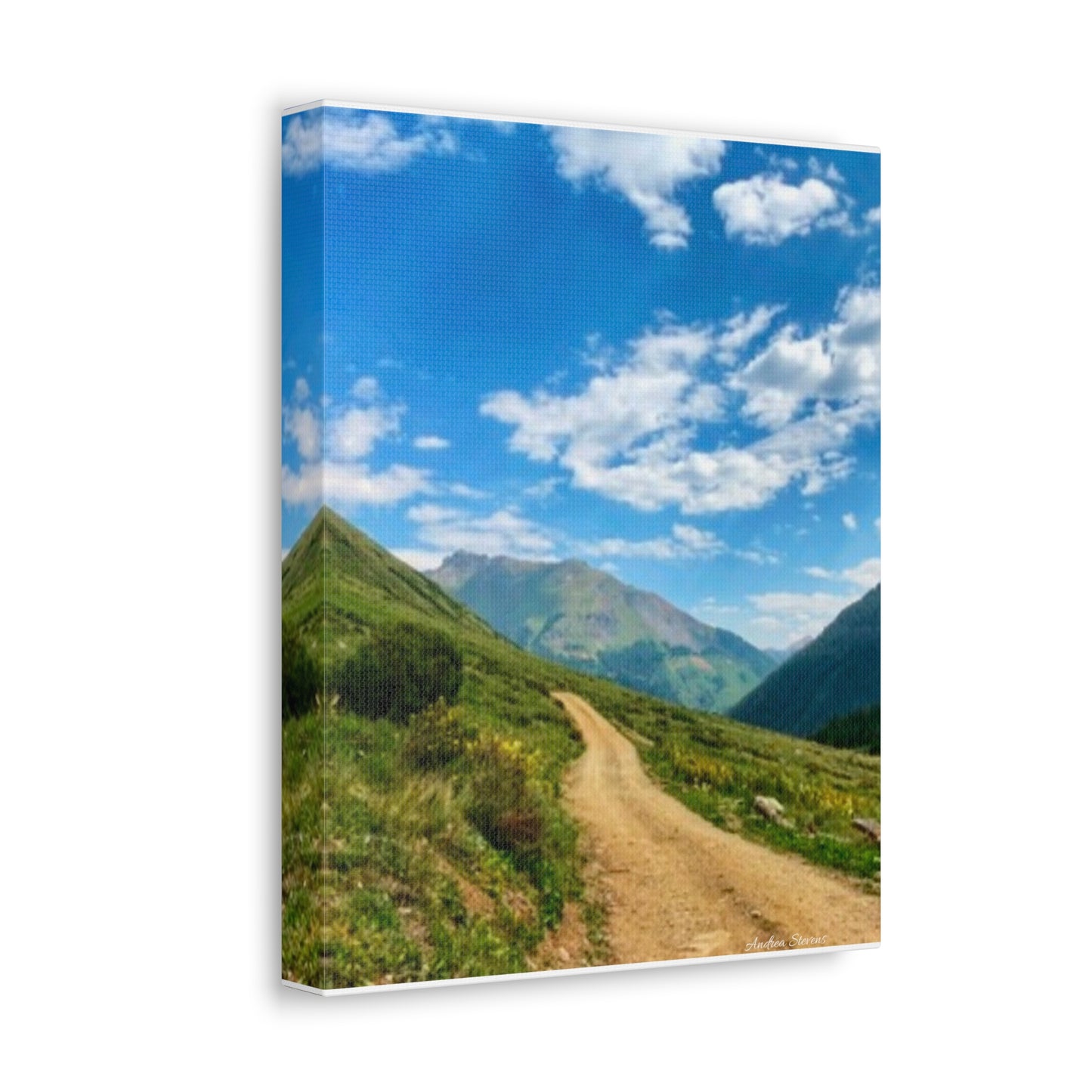 Colorado Scenic Inspirational Stretched Canvas - Mountain Off Roading Path Artwork by Andrea Stevens