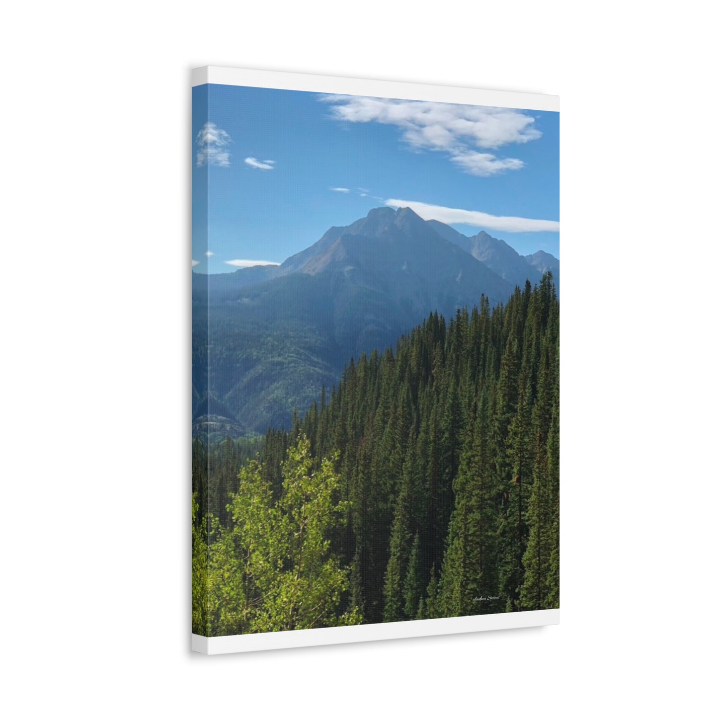Colorado Nature Landscape Stretched Canvas - Majestic Mountain & Forest Art by Andrea Stevens