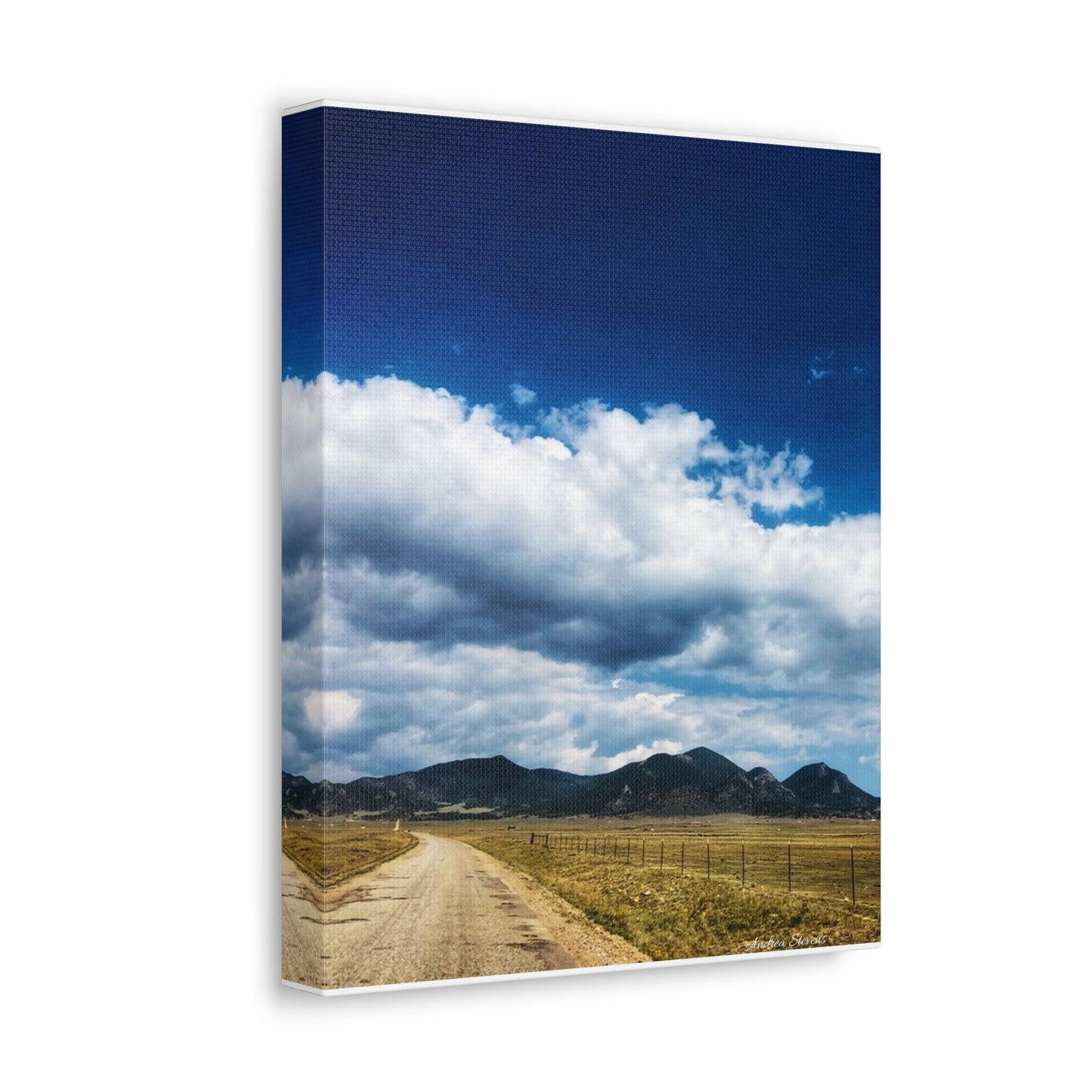 Colorado Serene Mountain Landscape Stretched Canvas Art by Andrea Stevens