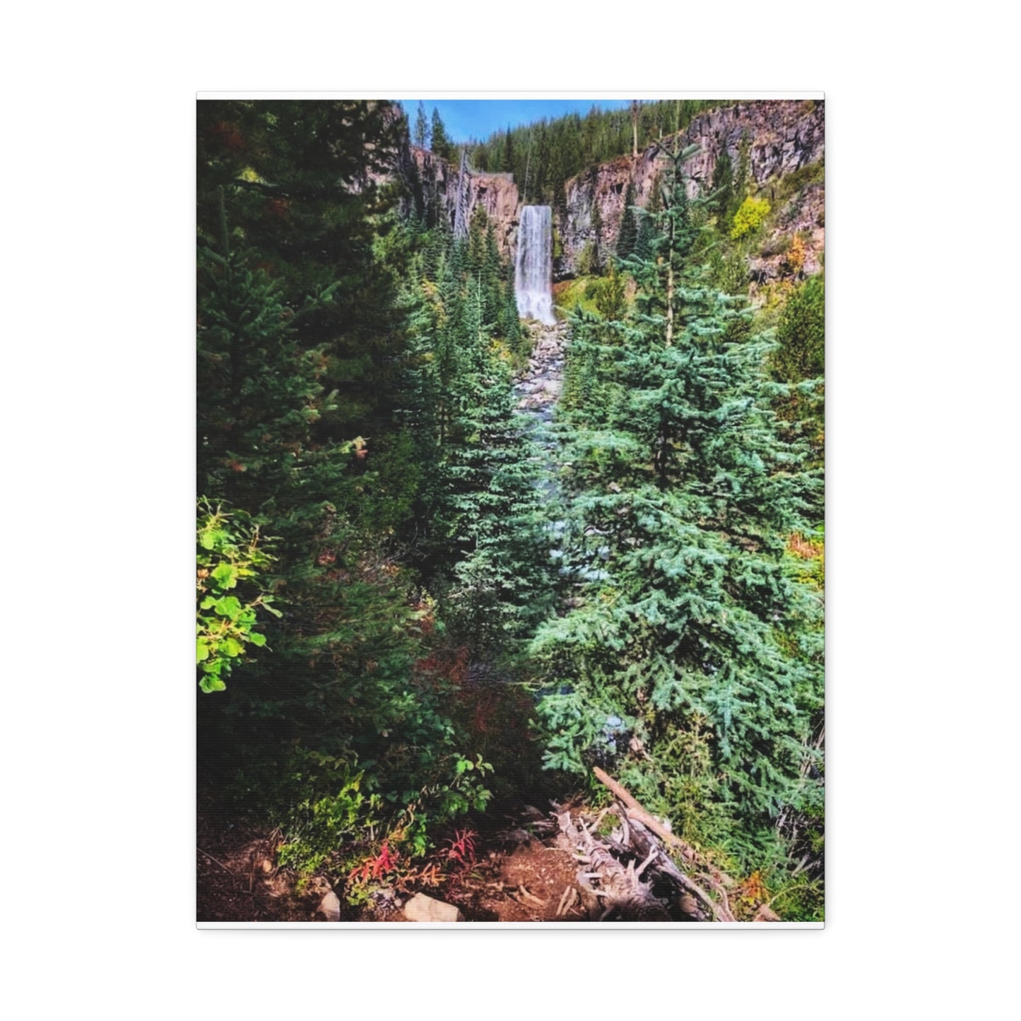 Bend Oregon Serene Nature Stretched Canvas - Tranquil Forest Waterfall Wall Art