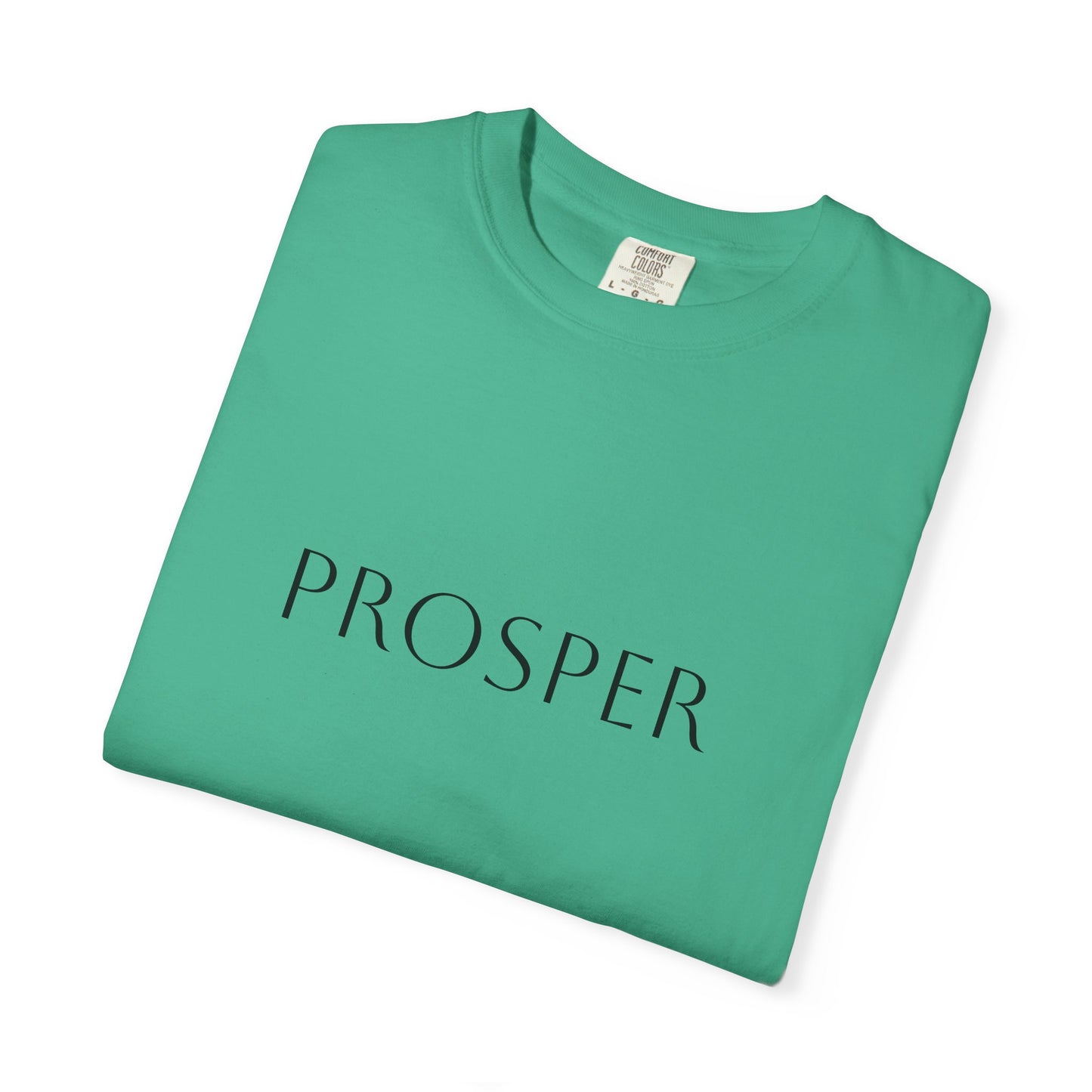 Inspirational Prosper T-Shirt for Hope and Motivation