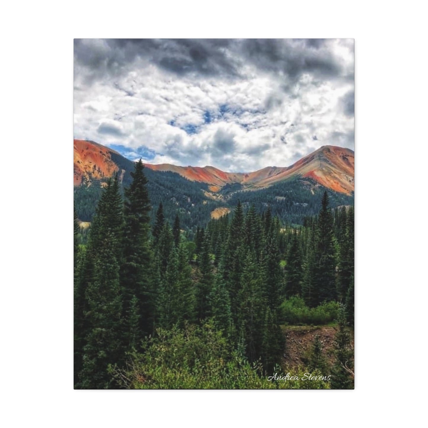 Colorado Mountain Landscape Stretched Canvas Art - Nature Wall Decor By Andrea Stevens