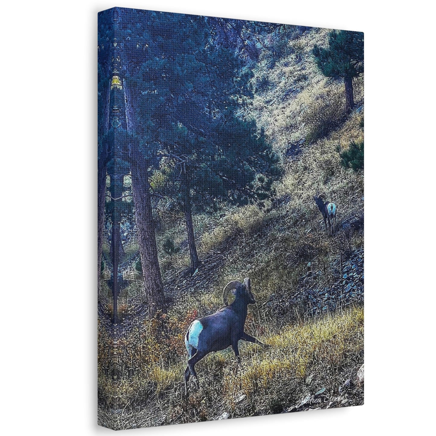 Colorado Nature-Inspired Stretched Canvas Art featuring Majestic Rams by Andrea Stevens