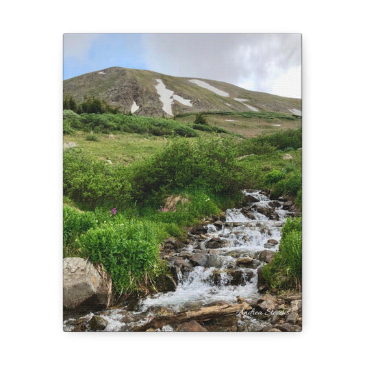 Colorado Nature Landscape Stretched by Andrea Stevens  Canvas Wall Art - Perfect for Home Decor and Gifts