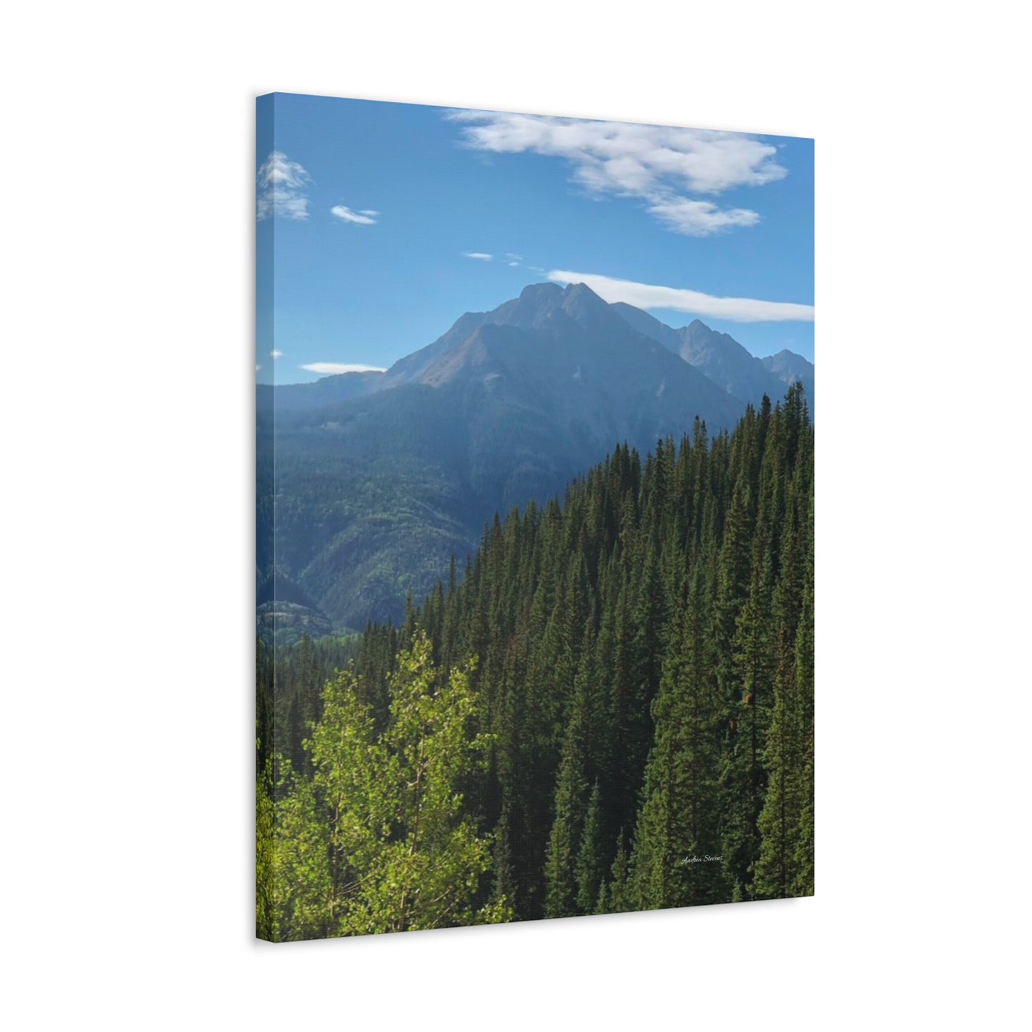 Colorado Nature Landscape Stretched Canvas - Majestic Mountain & Forest Art by Andrea Stevens
