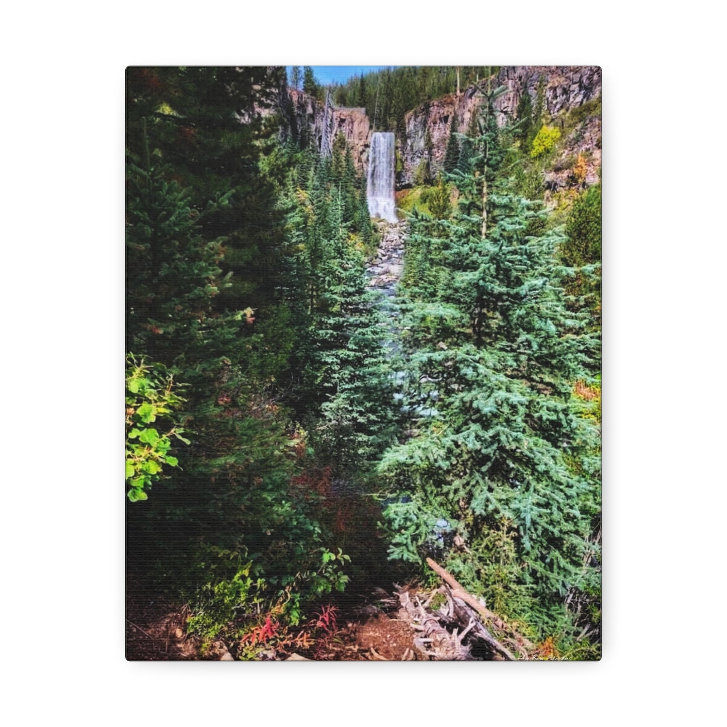 Bend Oregon Serene Nature Stretched Canvas - Tranquil Forest Waterfall Wall Art