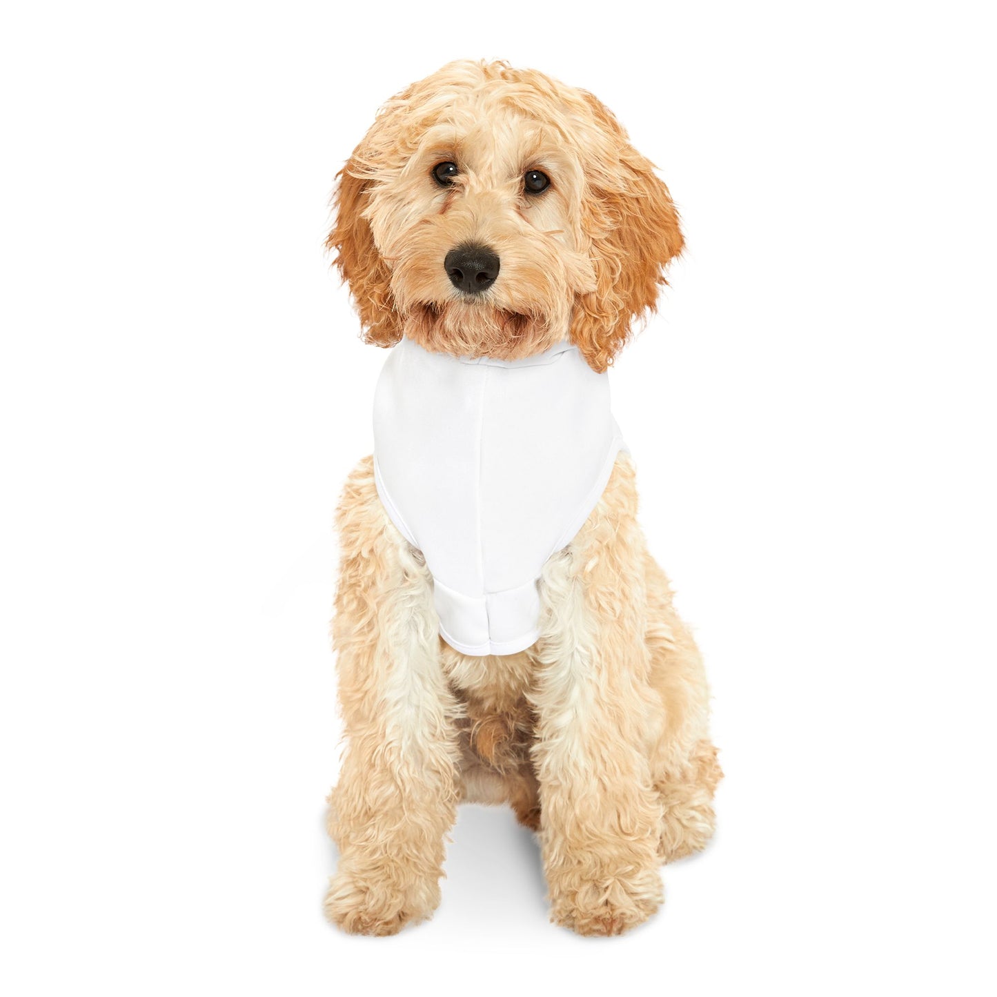 Cozy Mountain Pet Hoodie - Stylish Outdoor Gear for Dogs