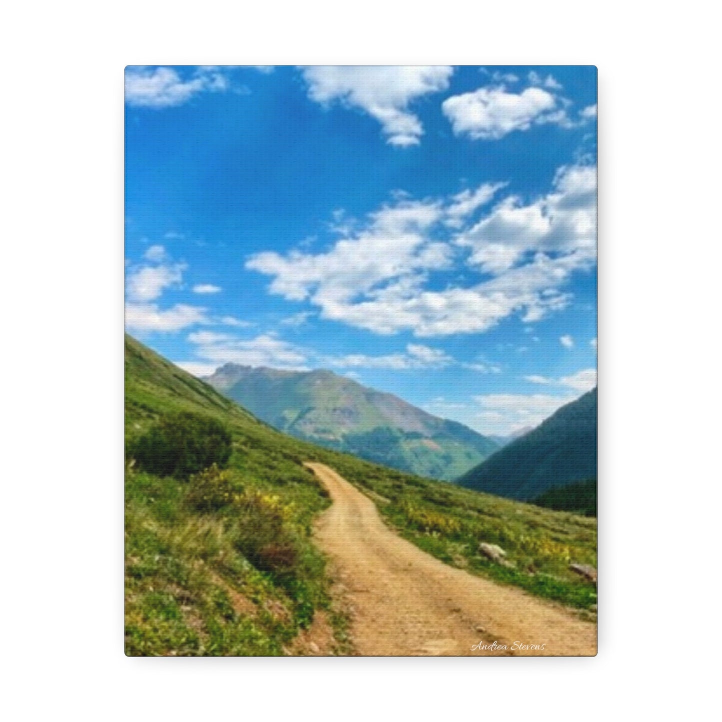 Colorado Scenic Inspirational Stretched Canvas - Mountain Off Roading Path Artwork by Andrea Stevens