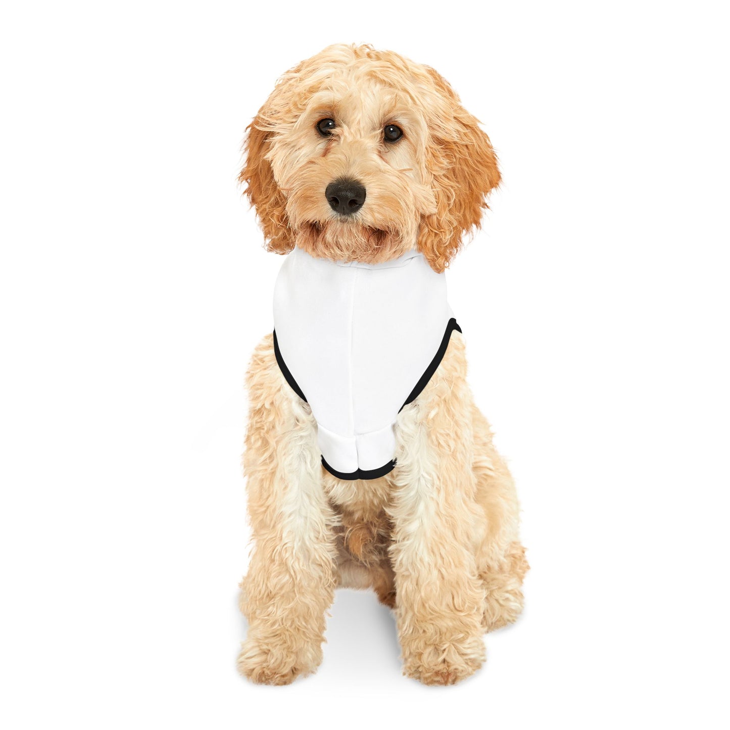 Cozy Mountain Pet Hoodie - Stylish Outdoor Gear for Dogs