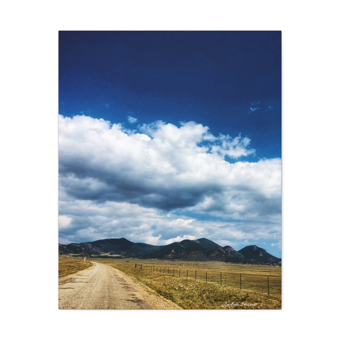 Colorado Serene Mountain Landscape Stretched Canvas Art by Andrea Stevens