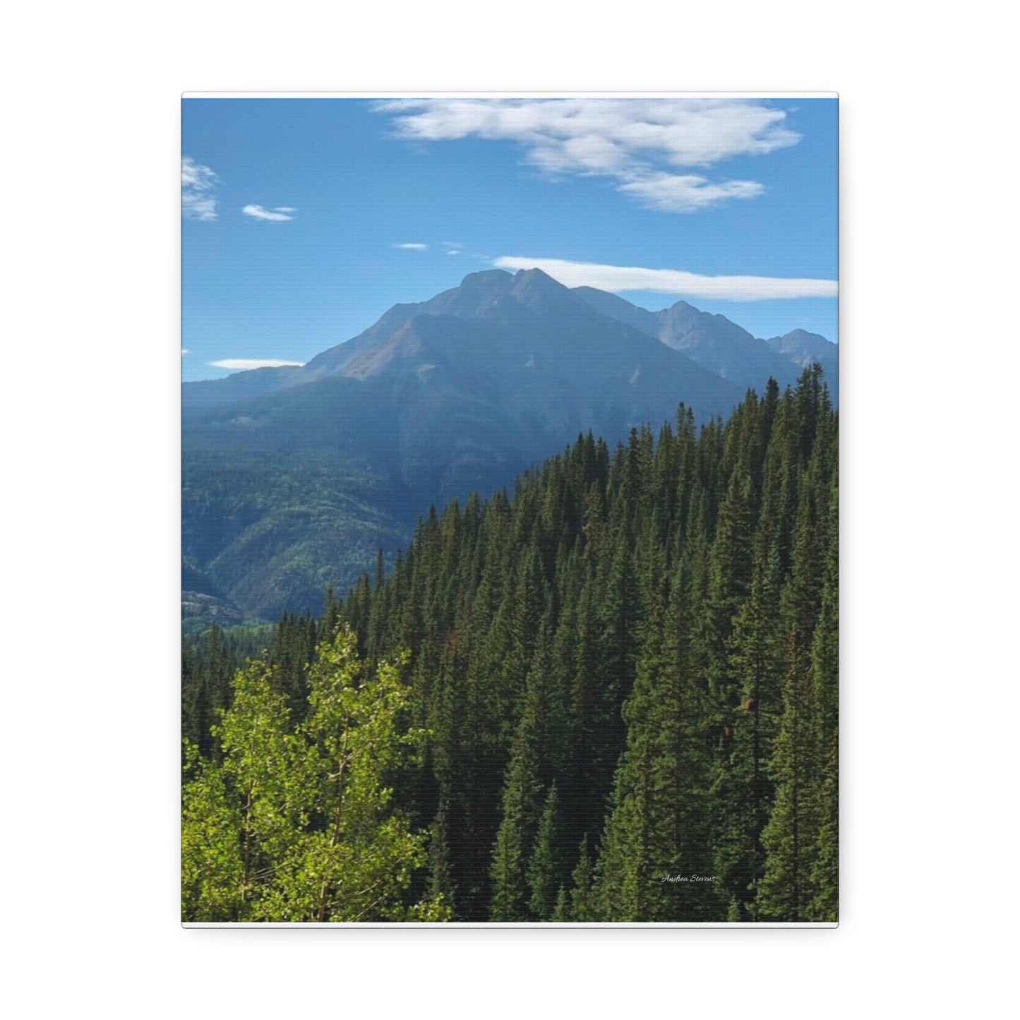 Colorado Nature Landscape Stretched Canvas - Majestic Mountain & Forest Art by Andrea Stevens