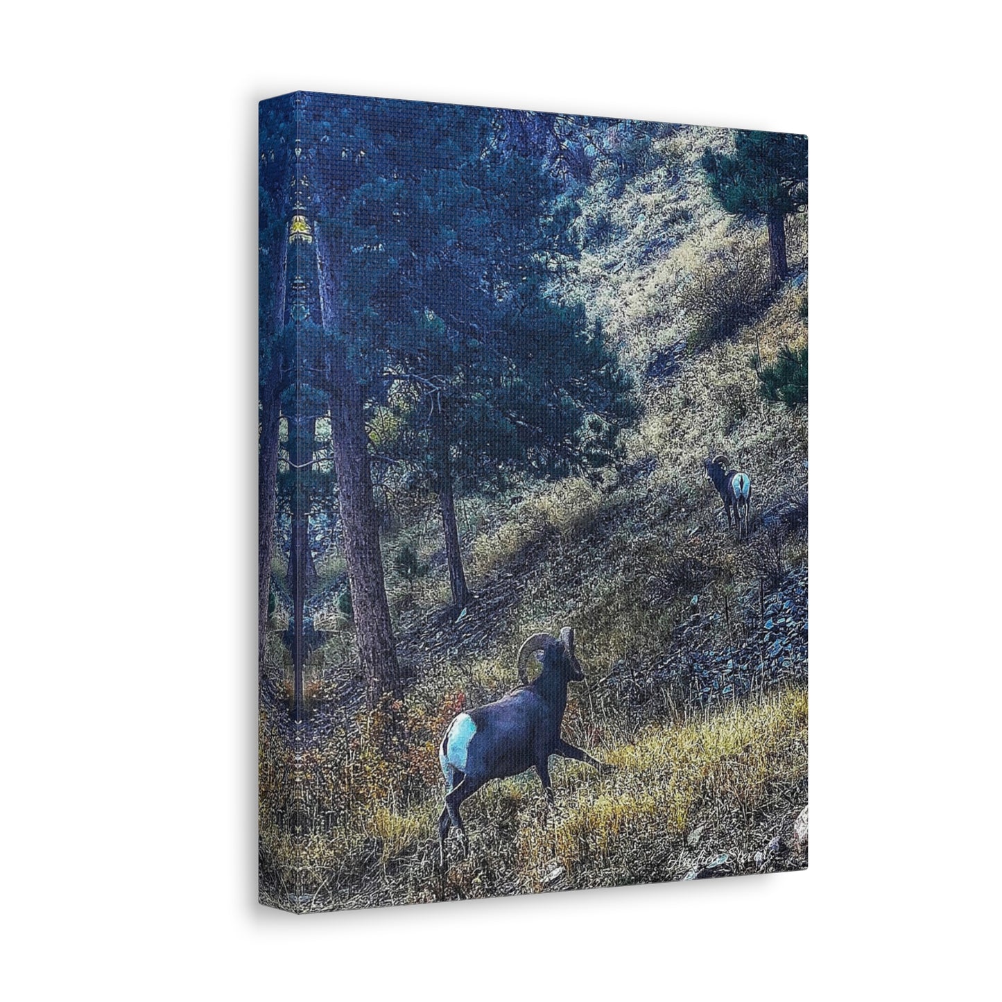 Colorado Nature-Inspired Stretched Canvas Art featuring Majestic Rams by Andrea Stevens