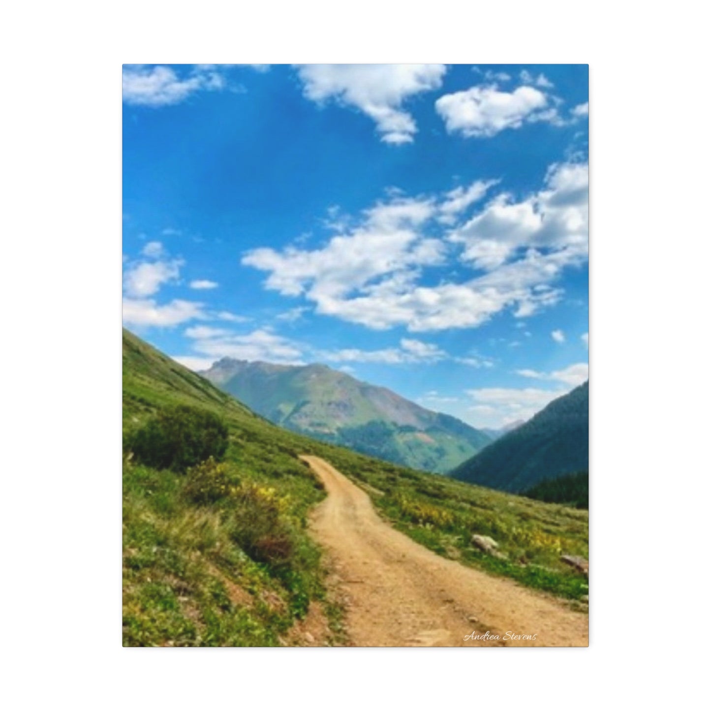 Colorado Scenic Inspirational Stretched Canvas - Mountain Off Roading Path Artwork by Andrea Stevens