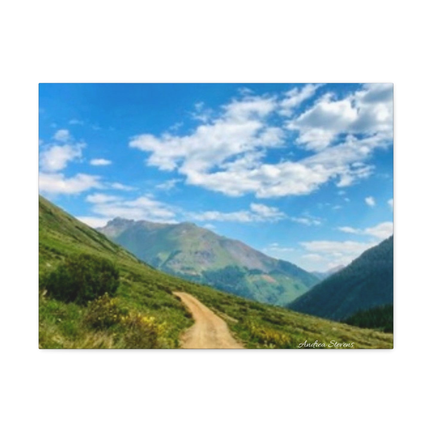 Colorado Scenic Inspirational Stretched Canvas - Mountain Off Roading Path Artwork by Andrea Stevens