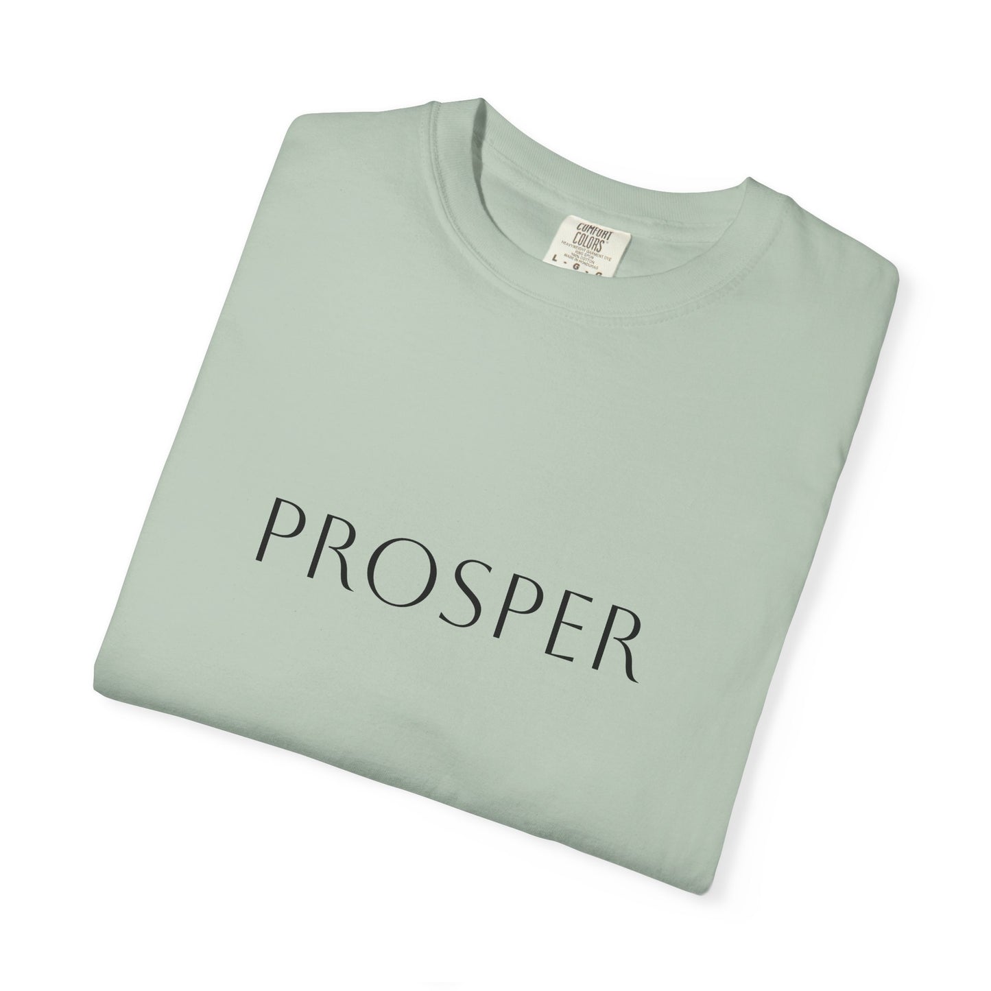 Inspirational Prosper T-Shirt for Hope and Motivation